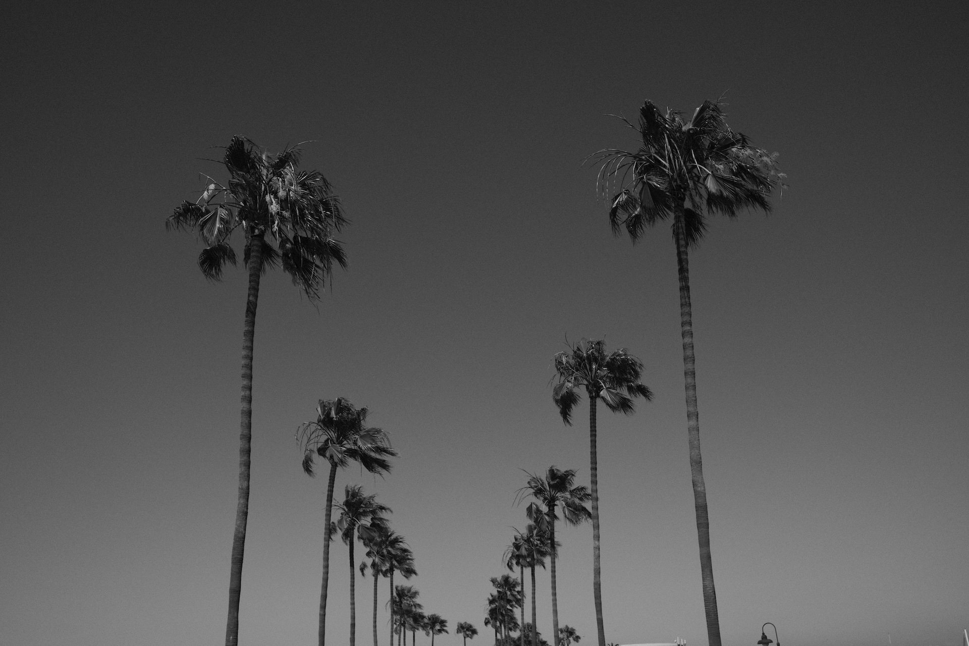 js san diego-17.jpeg