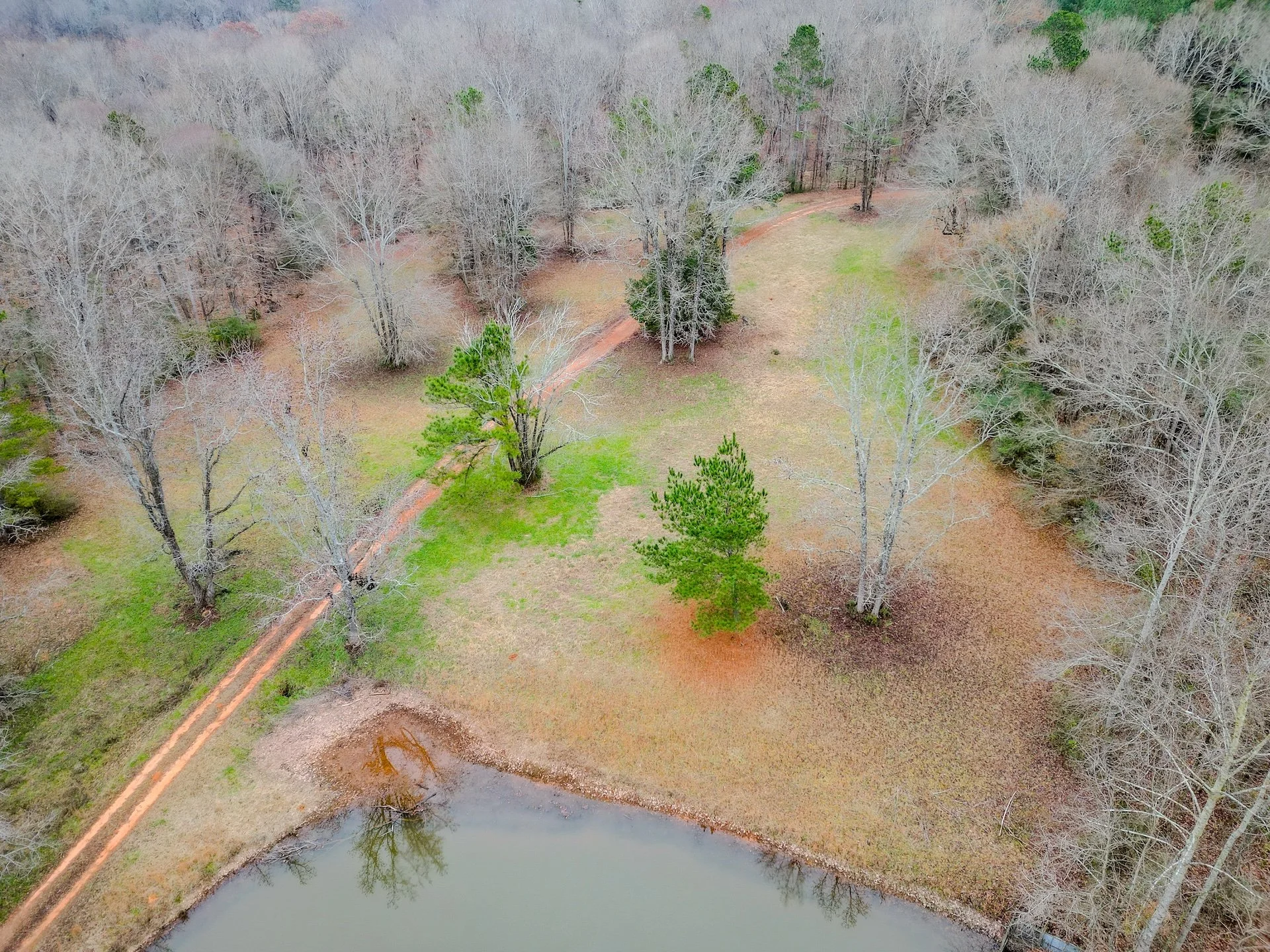 An aerial view of a small pond with grassy area and trees, some of which are leafless, surrounded by a dirt path and a forested background.