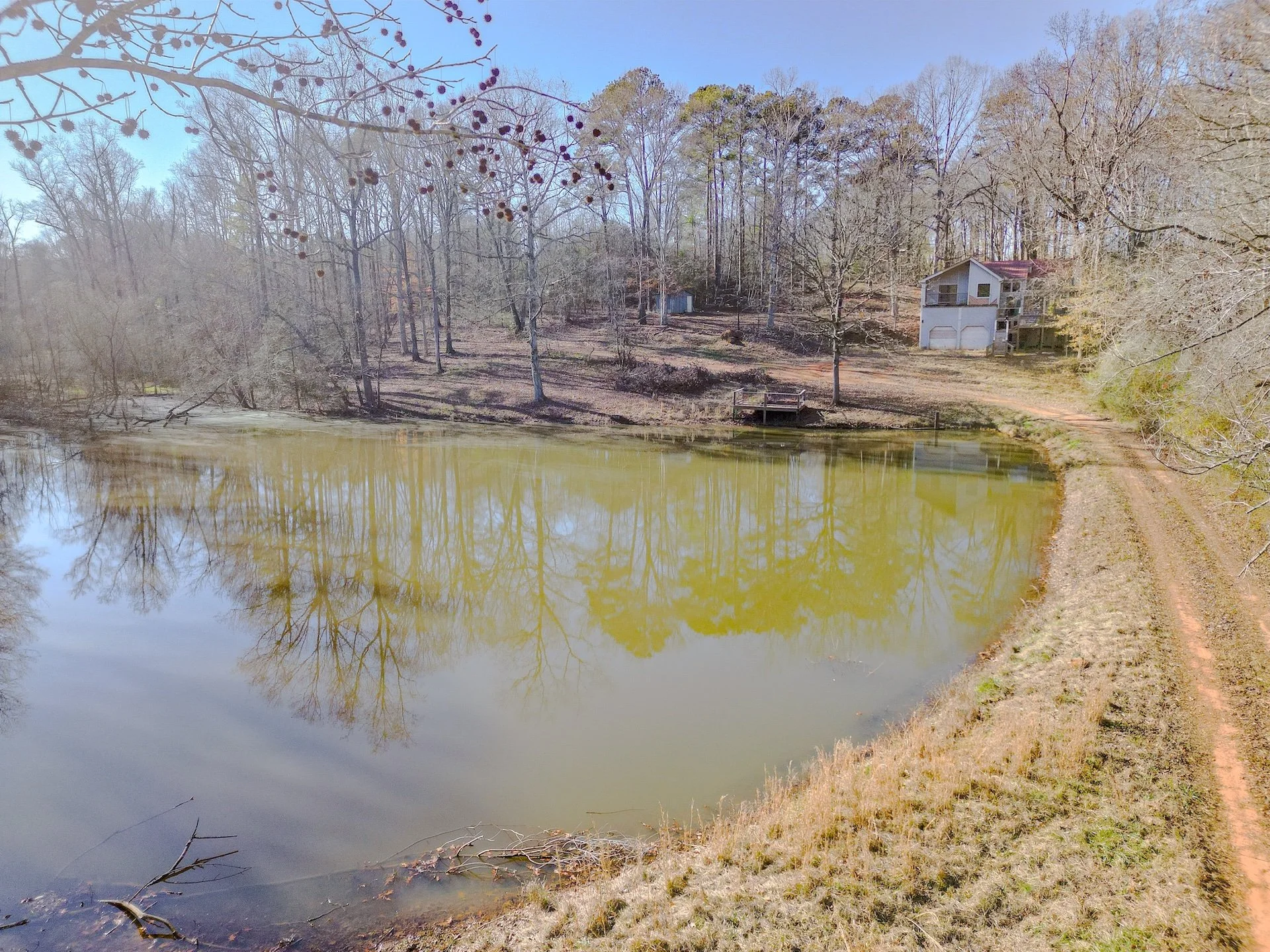 A pond surrounded by trees with bare branches, a small wooden dock on the far side, and a house on a hill in the background. The sky is clear and blue.