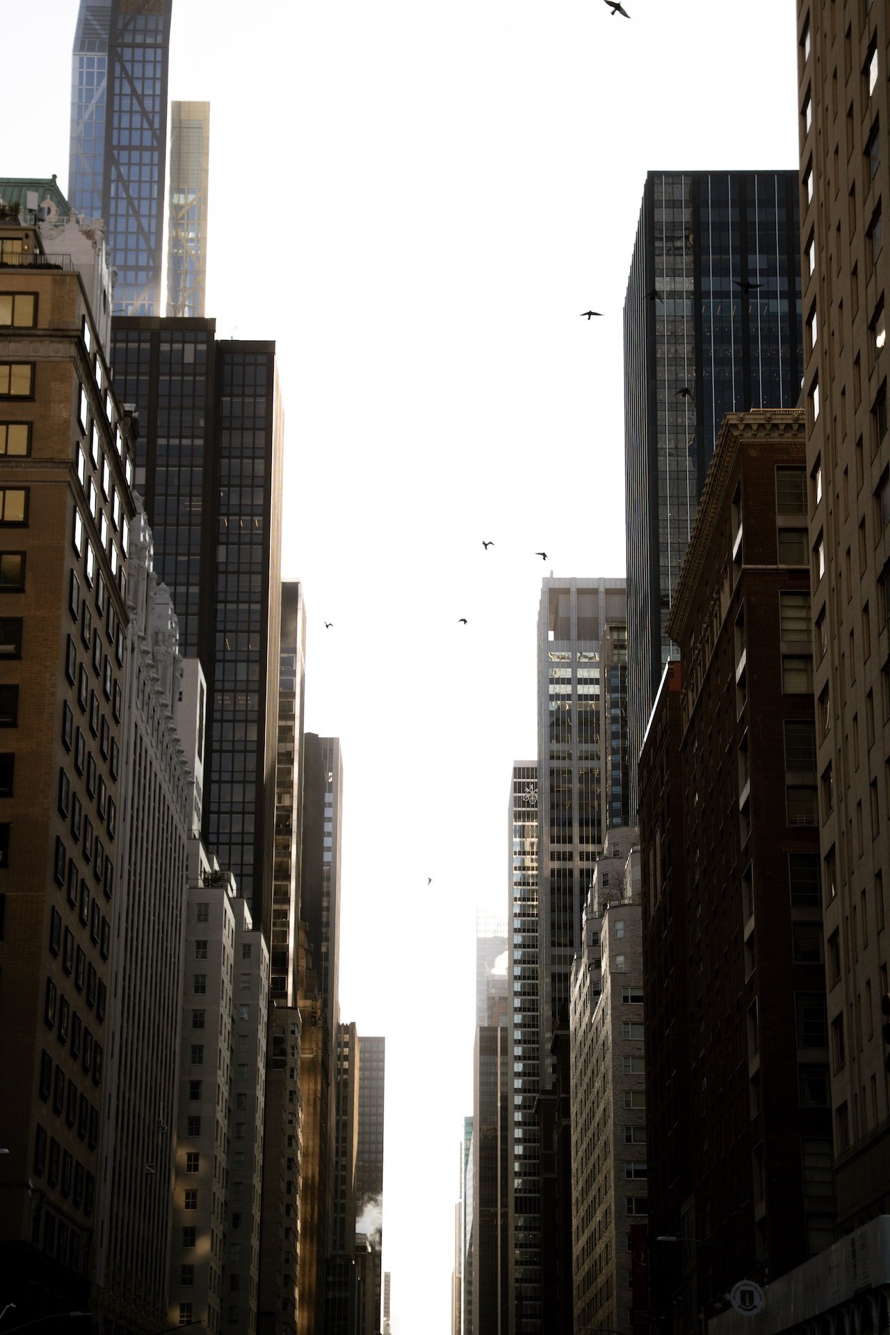 js nyc-13.jpeg