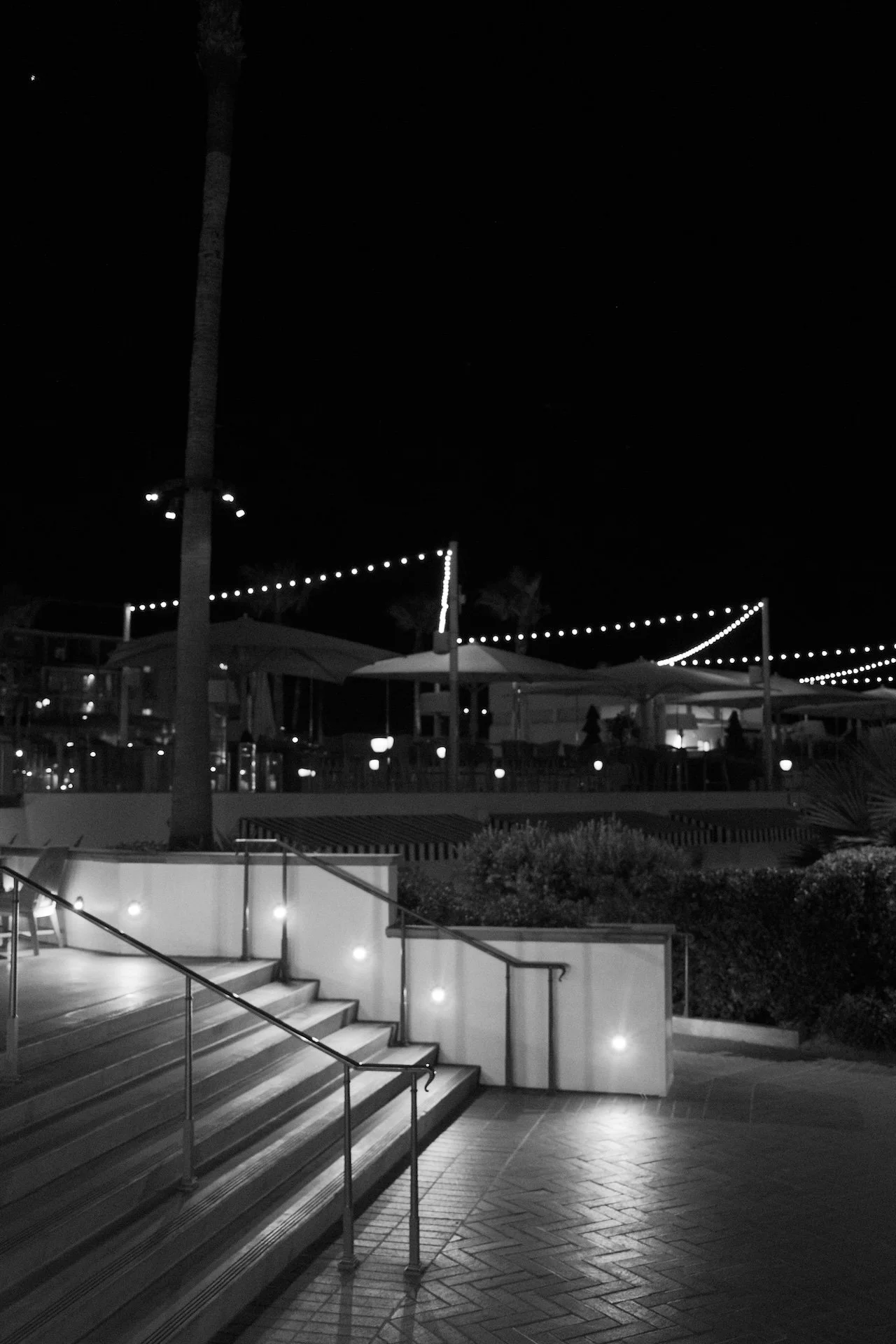 js san diego-3.jpeg