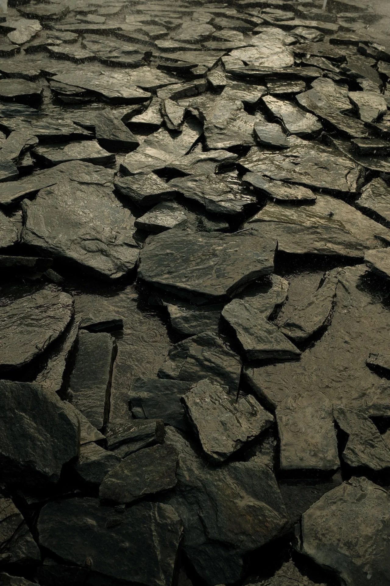 Close-up of wet, dark gray and black irregularly shaped stones or slate pieces on a surface.