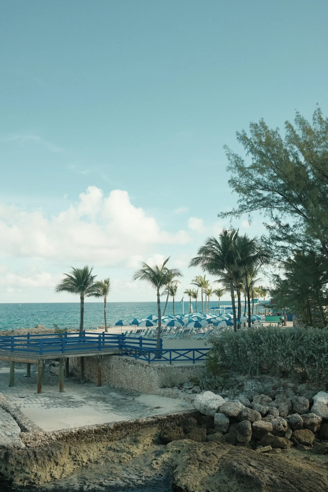 A tropical beach scene featuring palm trees, blue and white umbrellas, lounge chairs, and a clear ocean with a blue sky and some clouds.