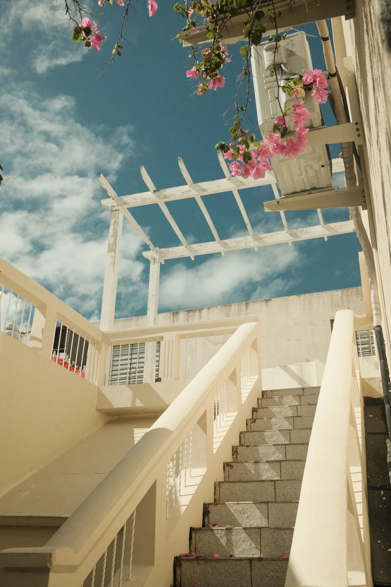 A stairway leading up to a rooftop area with a white railing and pink flowers hanging from a vine. The sky is partly cloudy.