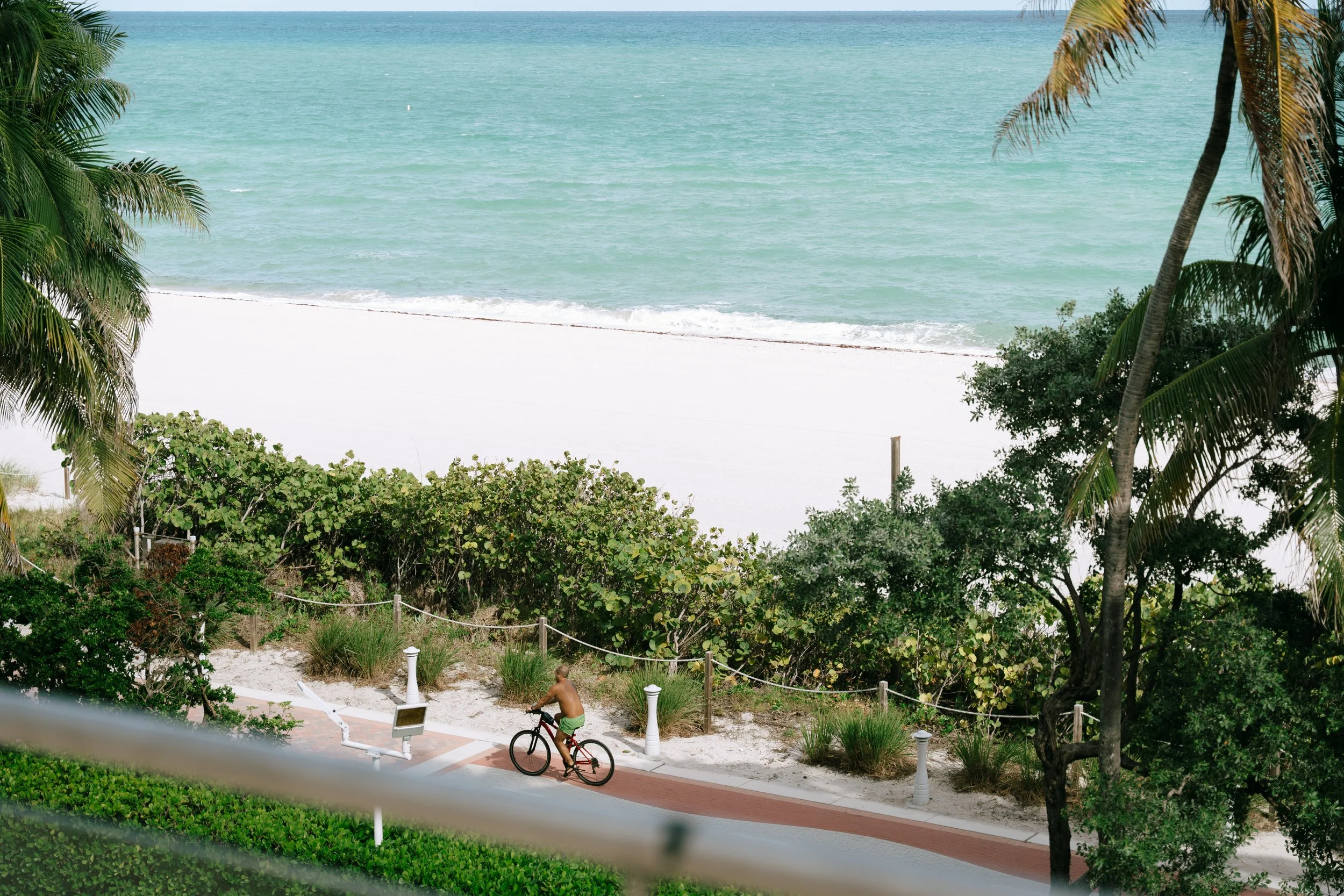 A man riding a bicycle along a beachside pathway with trees and bushes, overlooking a sandy beach and the ocean.