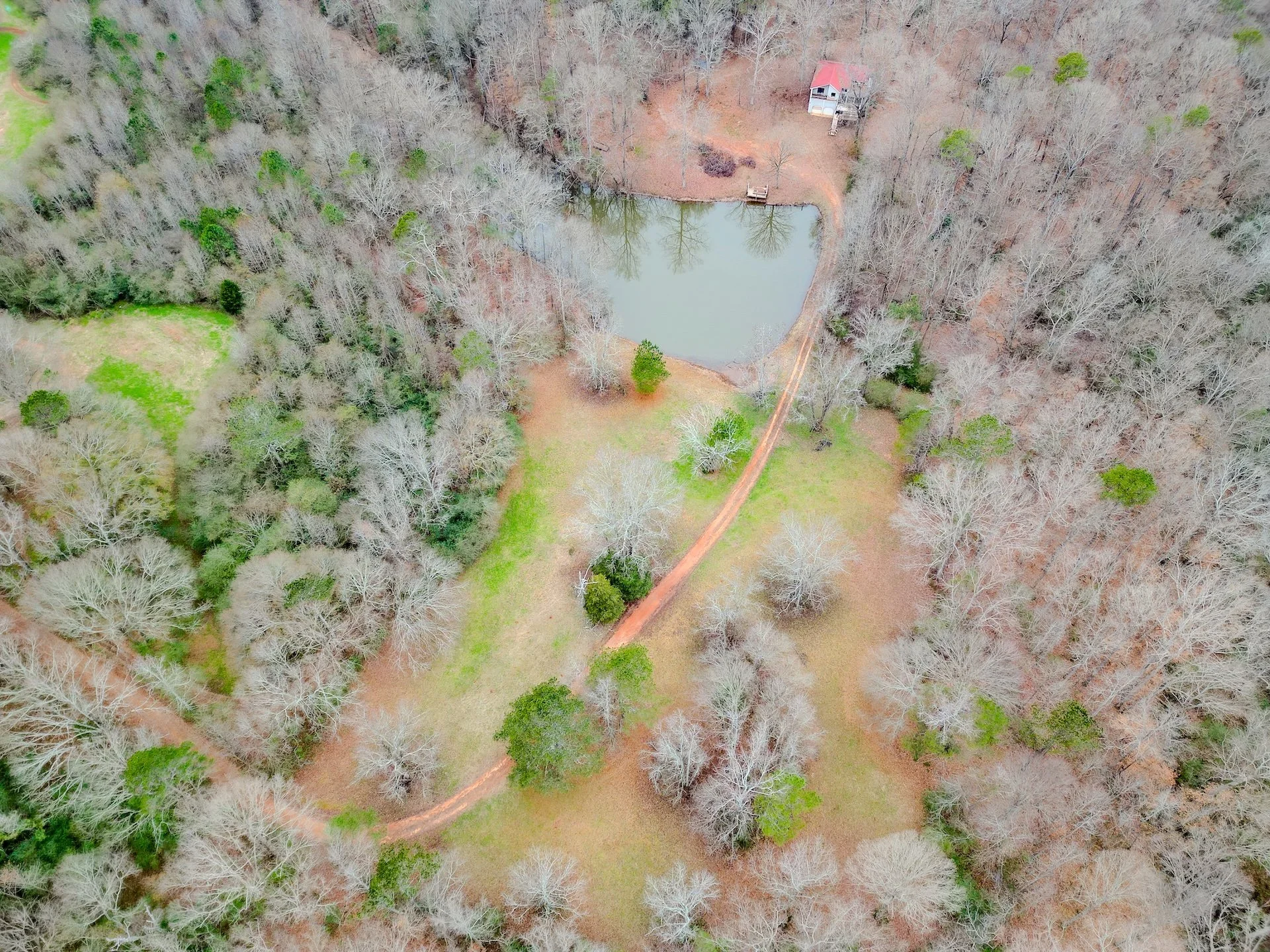 Aerial view of a wooded landscape with leafless trees, a small pond, a gravel path, and a small house with a red roof in the background.