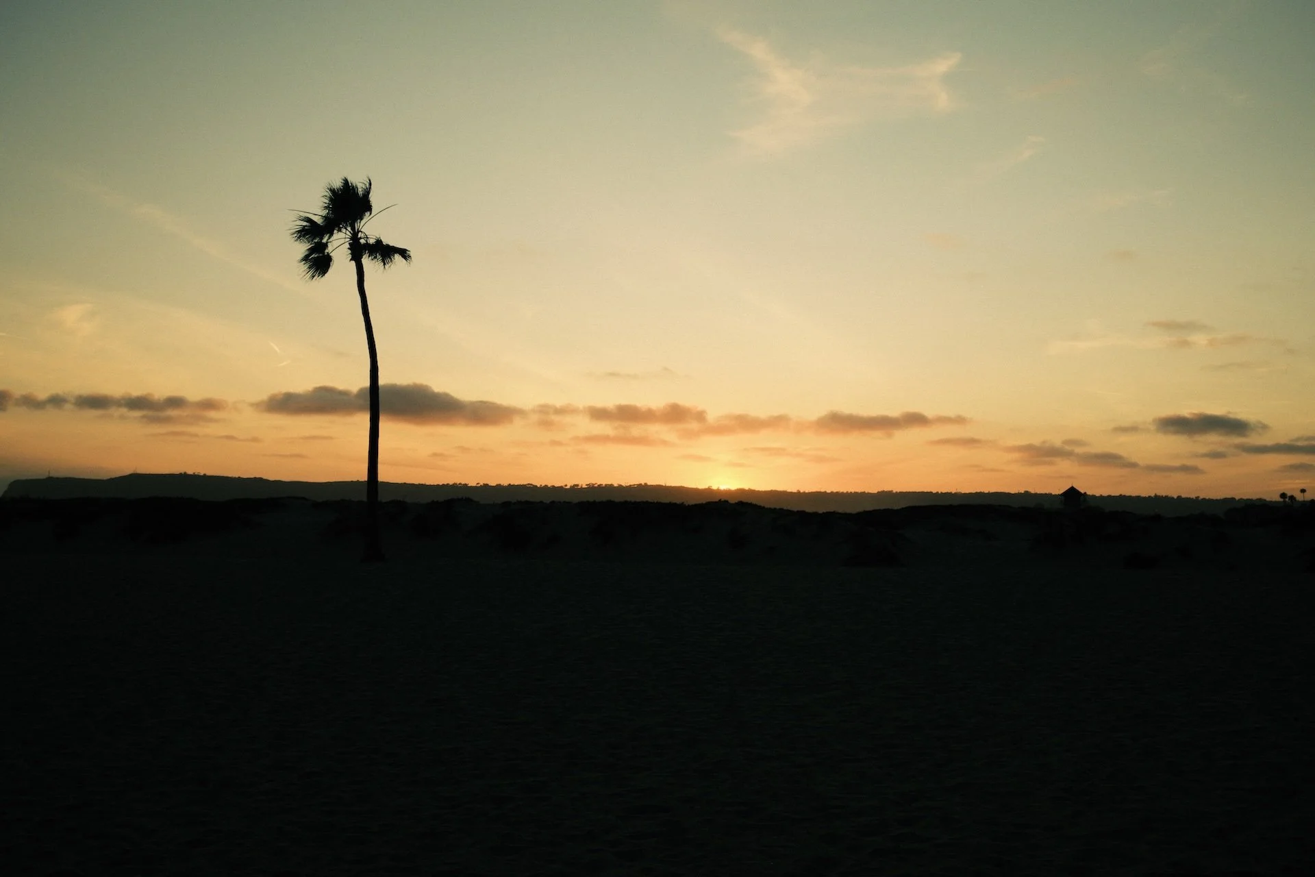js san diego-13.jpeg