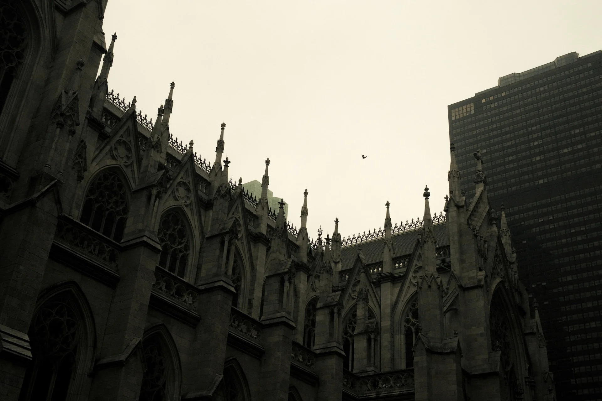 js nyc-2-2.jpeg