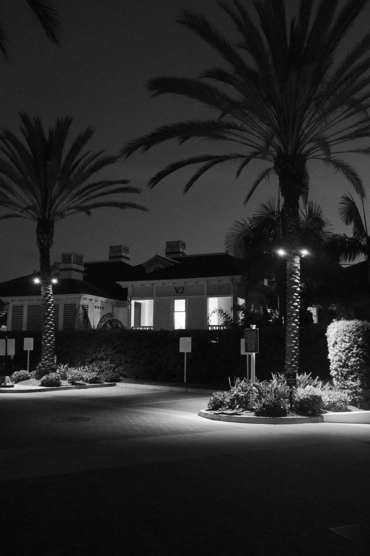 js san diego-7.jpeg
