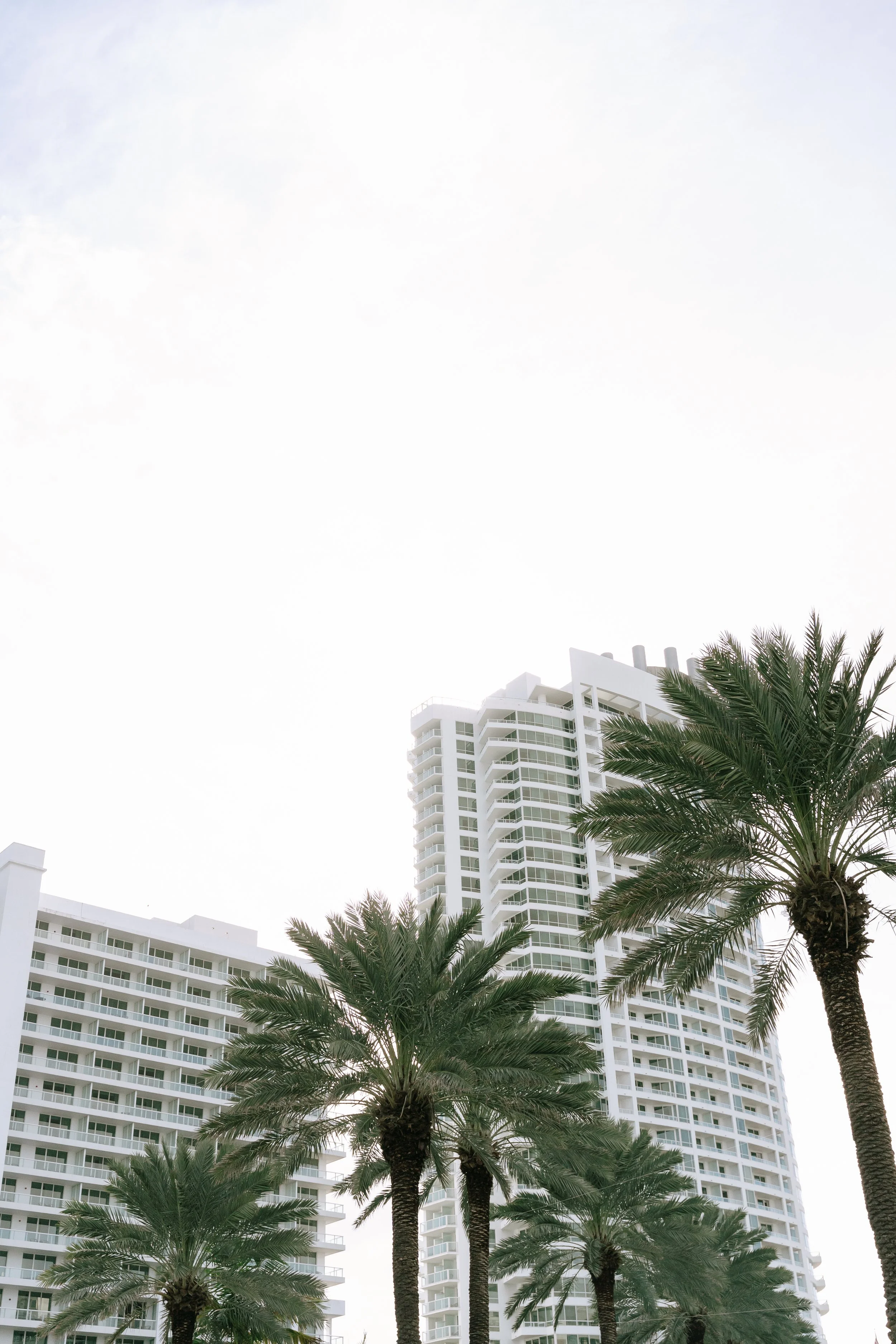 Tall white modern building with multiple balconies, set behind several tall palm trees, under an overcast sky.