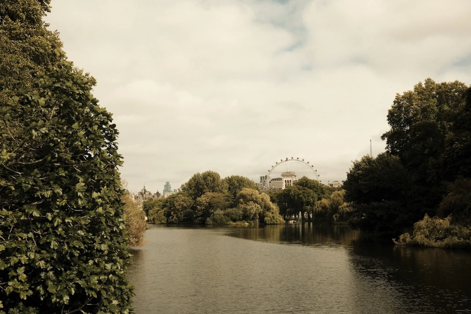 A view of a river surrounded by lush green trees with a city skyline and a large Ferris wheel in the distance under a cloudy sky.
