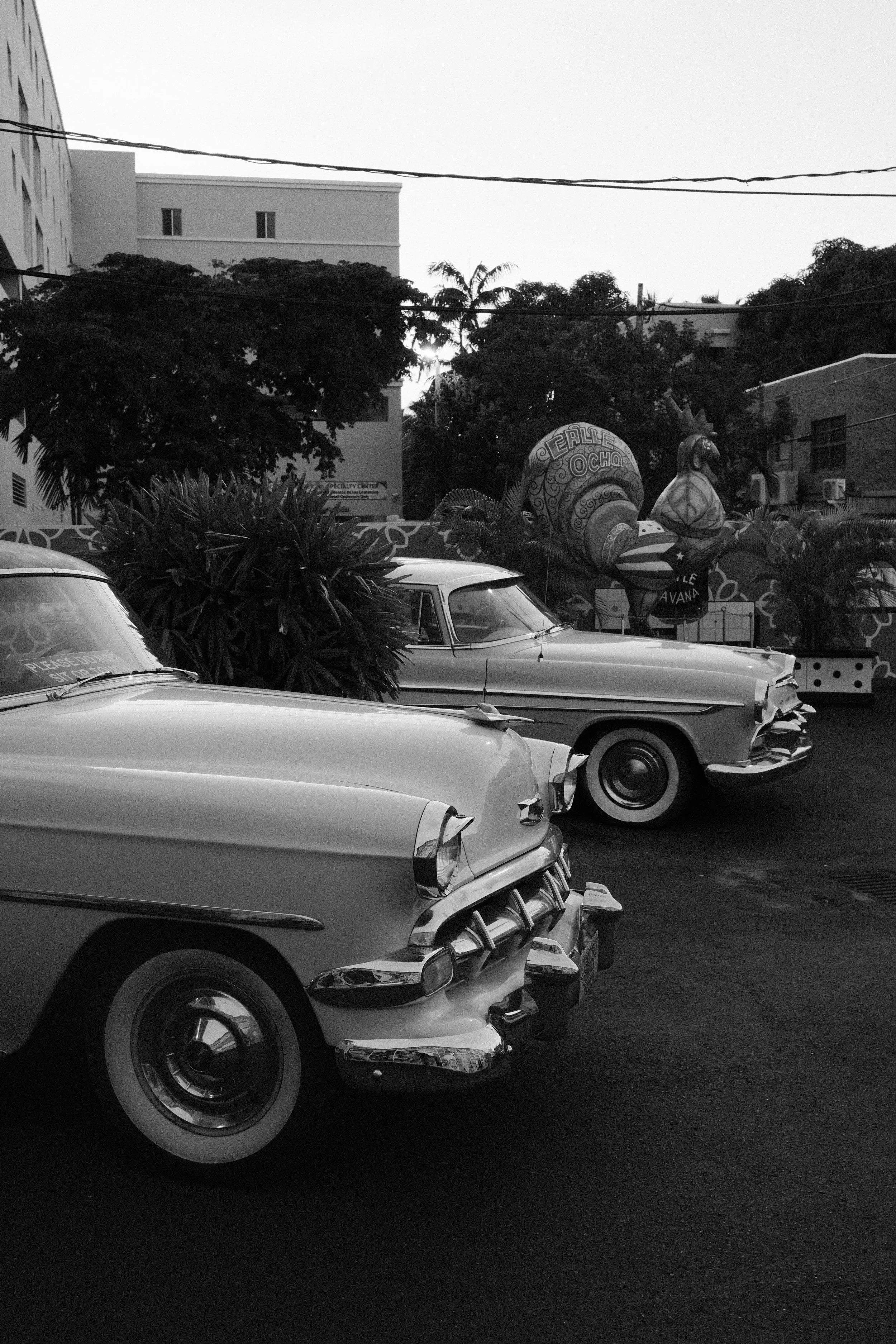 Black and white photo of vintage cars parked in a lot with palm trees and colorful rooster sculptures in the background.