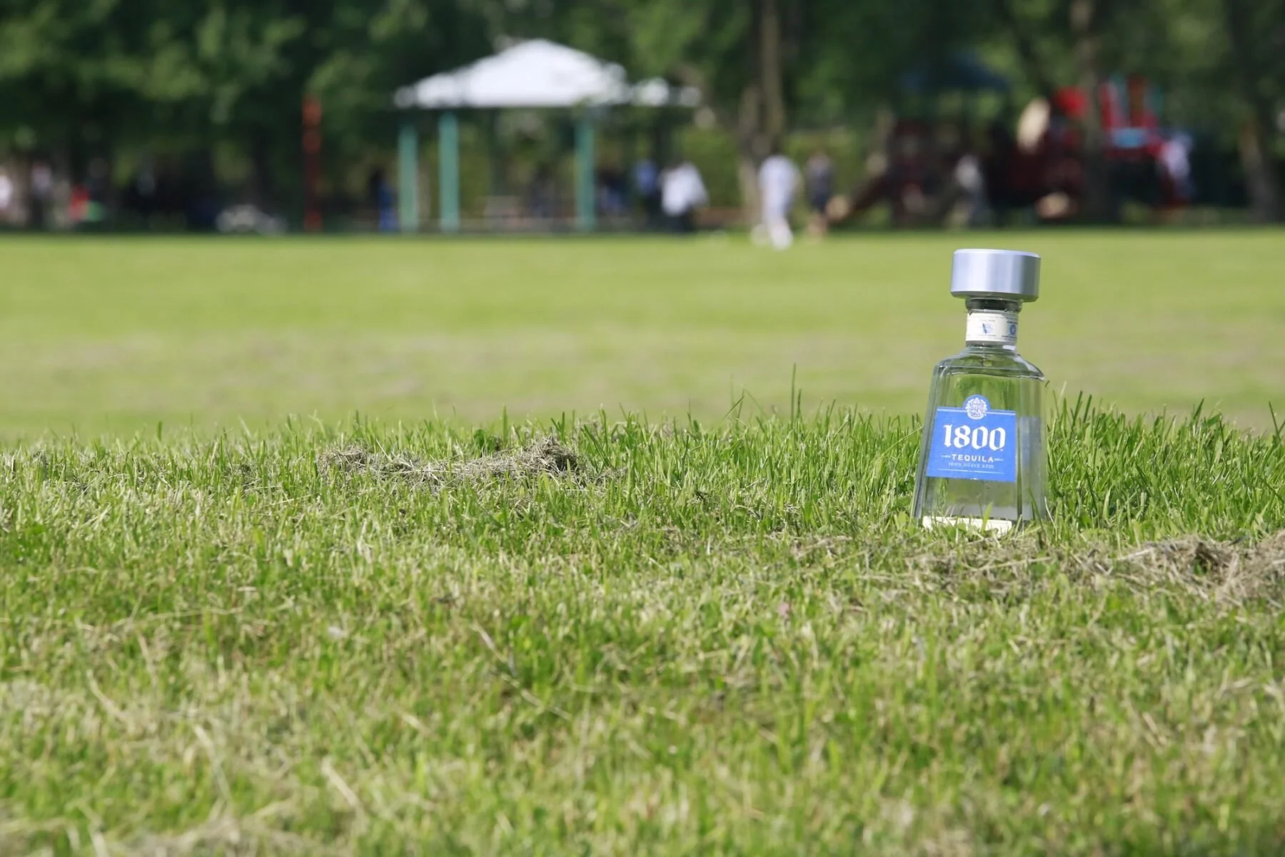 College Ward councillor ‘open to exploring’ parks allowing alcohol