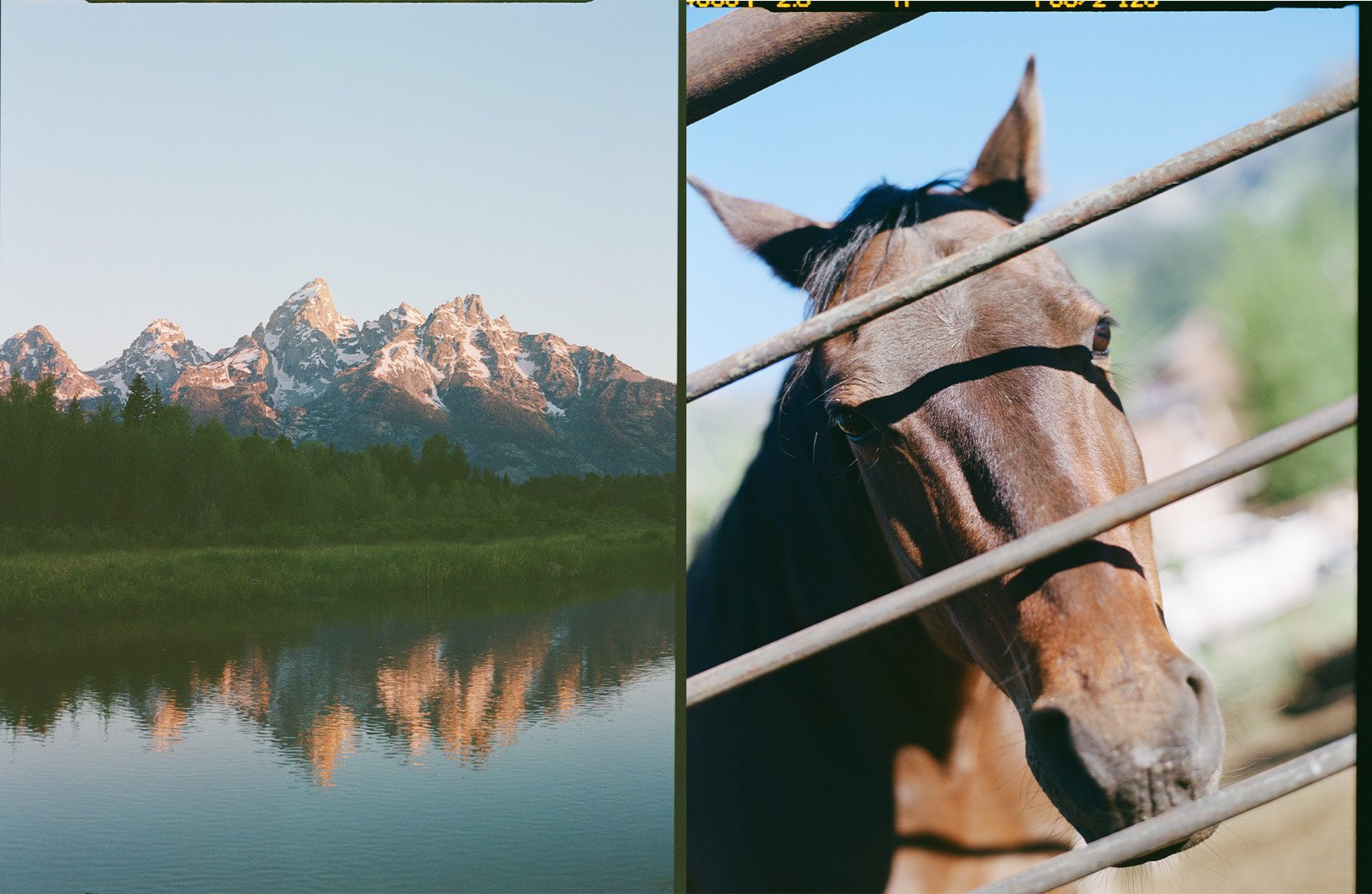Untitled-1.jpg