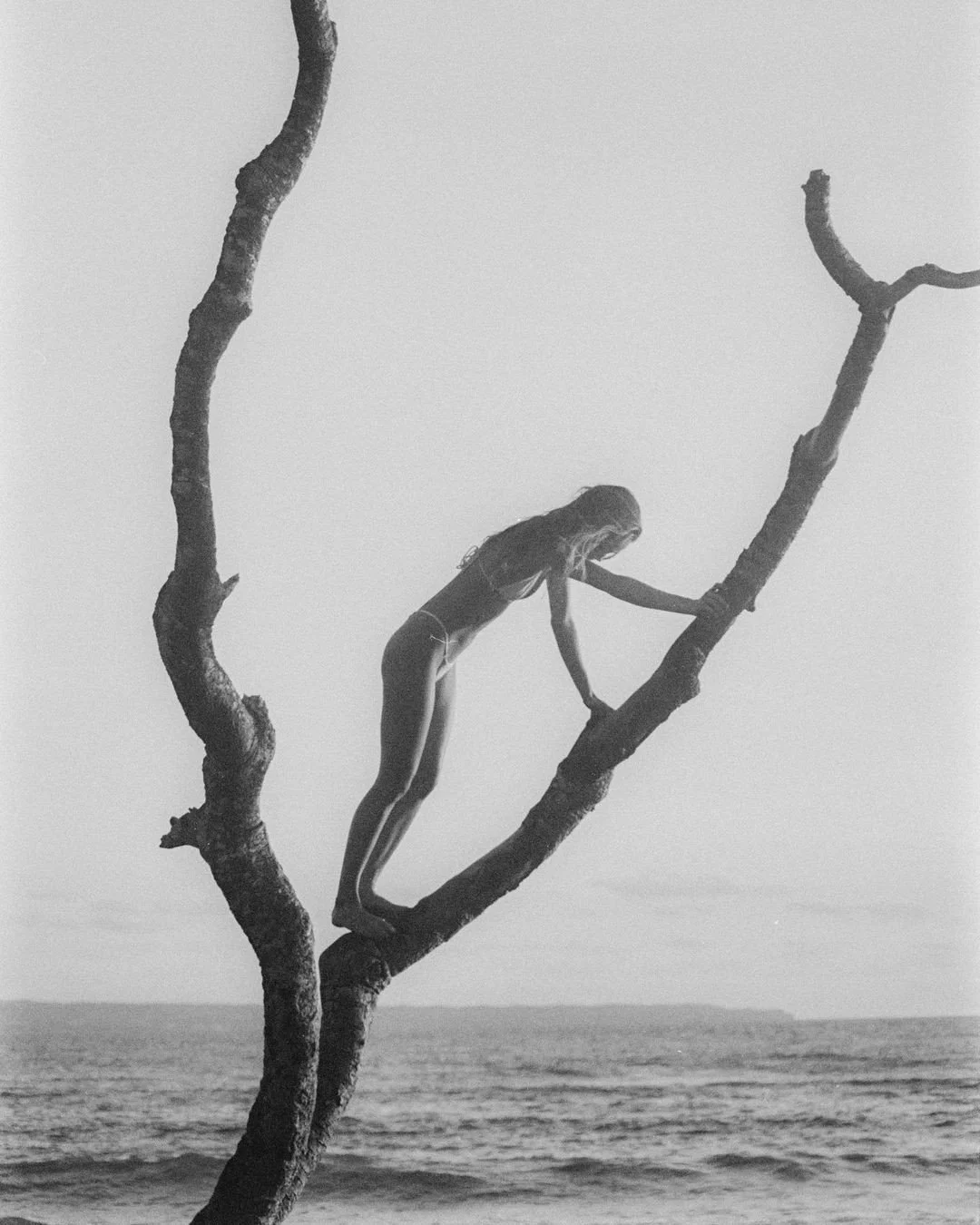 A woman in a swimsuit climbs a leafless tree near the ocean, with the sea in the background, in black and white.