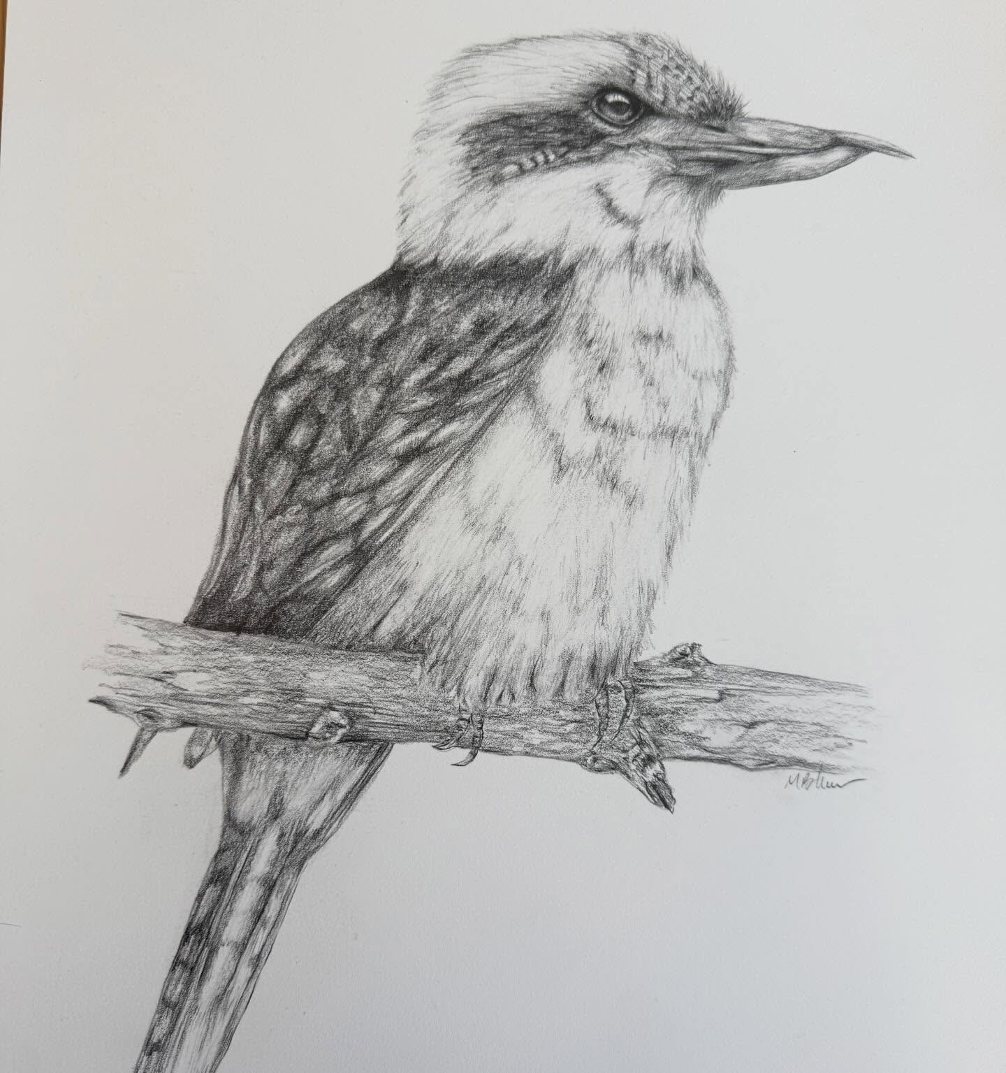 Someone wise once told me laughter is pivotal for a life well lived. So this one&rsquo;s is for you! 🫶🏼

Graphite on A3, original available &amp; soon limited edition prints 

#graphiteart #australianartist #morningtonpeninsulaart #studioandco #pen