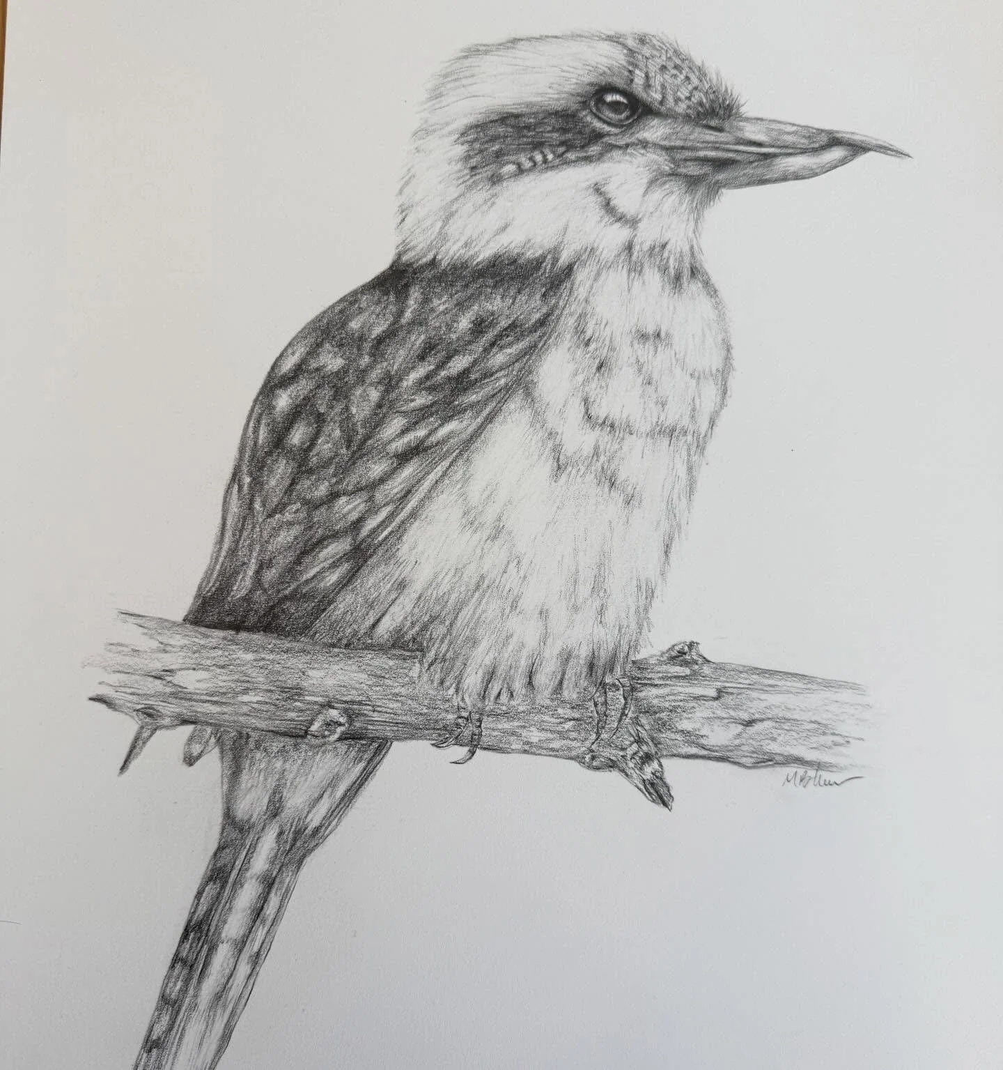 Someone wise once told me laughter is pivotal for a life well lived. So this one&rsquo;s is for you! 🫶🏼

Graphite on A3, original available &amp; soon limited edition prints 

#graphiteart #australianartist #morningtonpeninsulaart #studioandco #pen