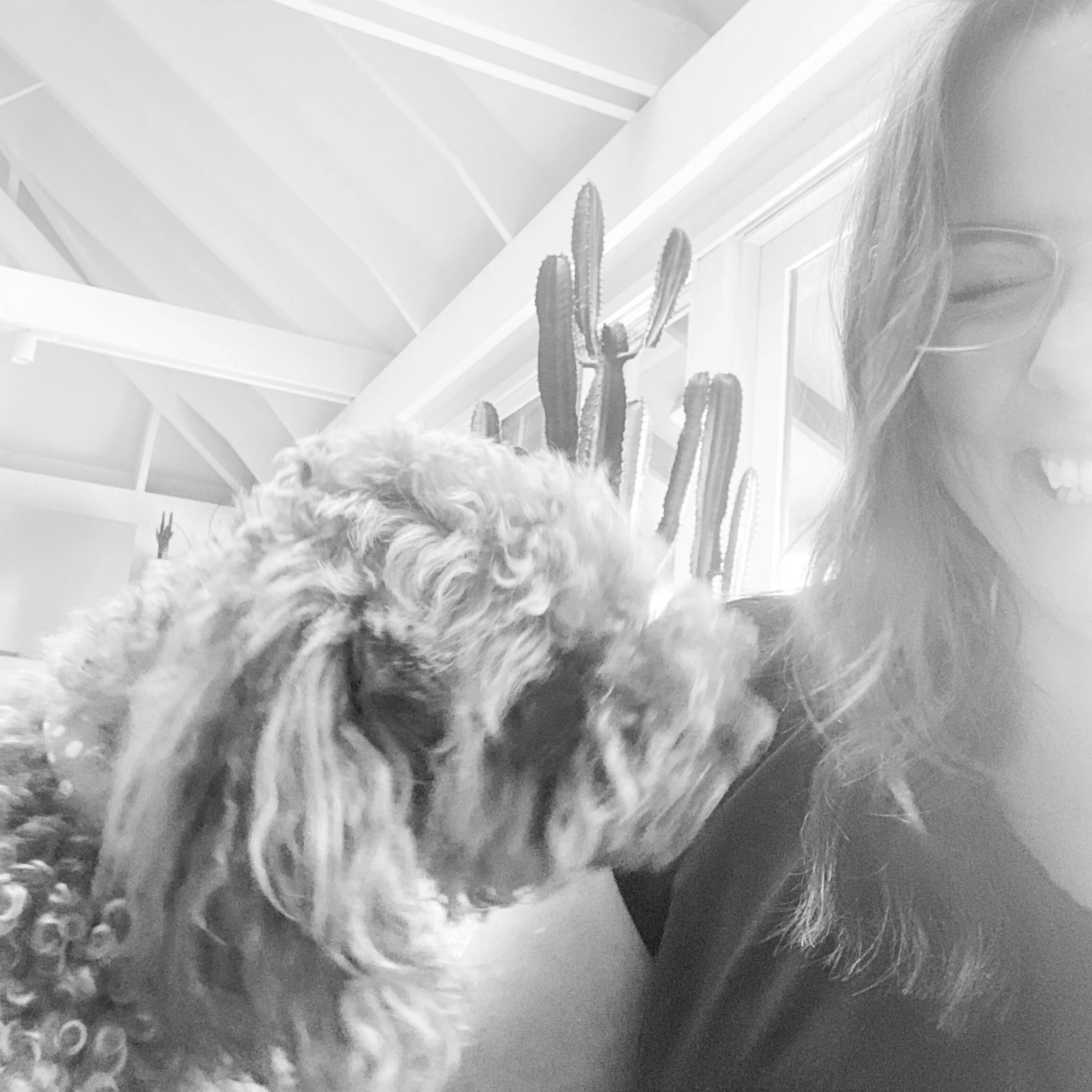 Close-up black and white photo of a fluffy dog with curly fur, partially visible in the foreground, showing its nose and part of its head, with a tall cactus in the background inside a room.