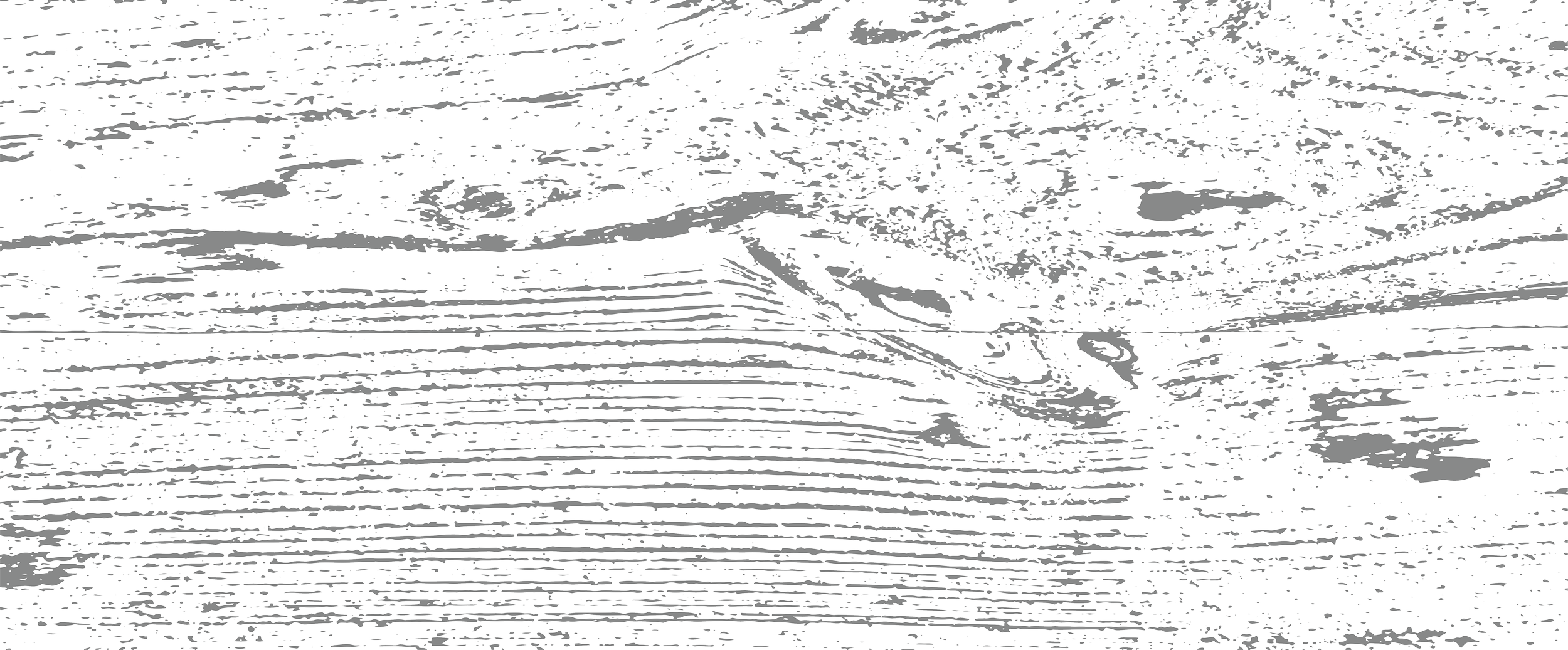 Black and white woodgrain pattern.