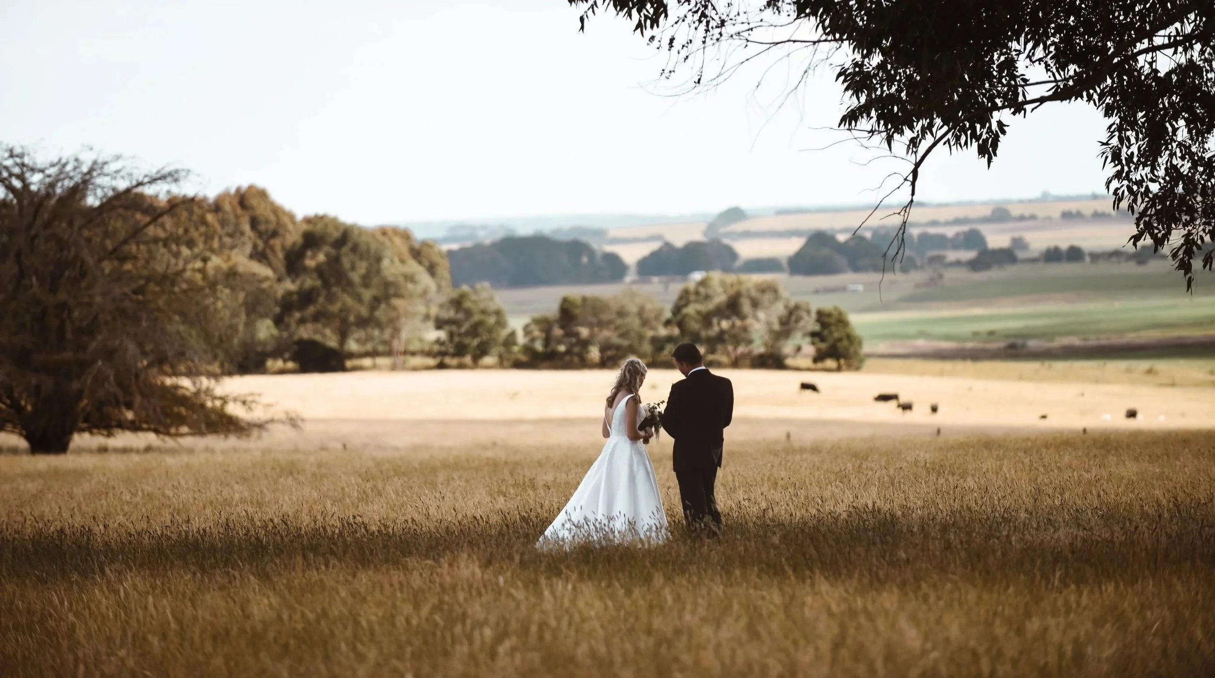 couple sharing a moment after their ceremony while looking out to their farm land