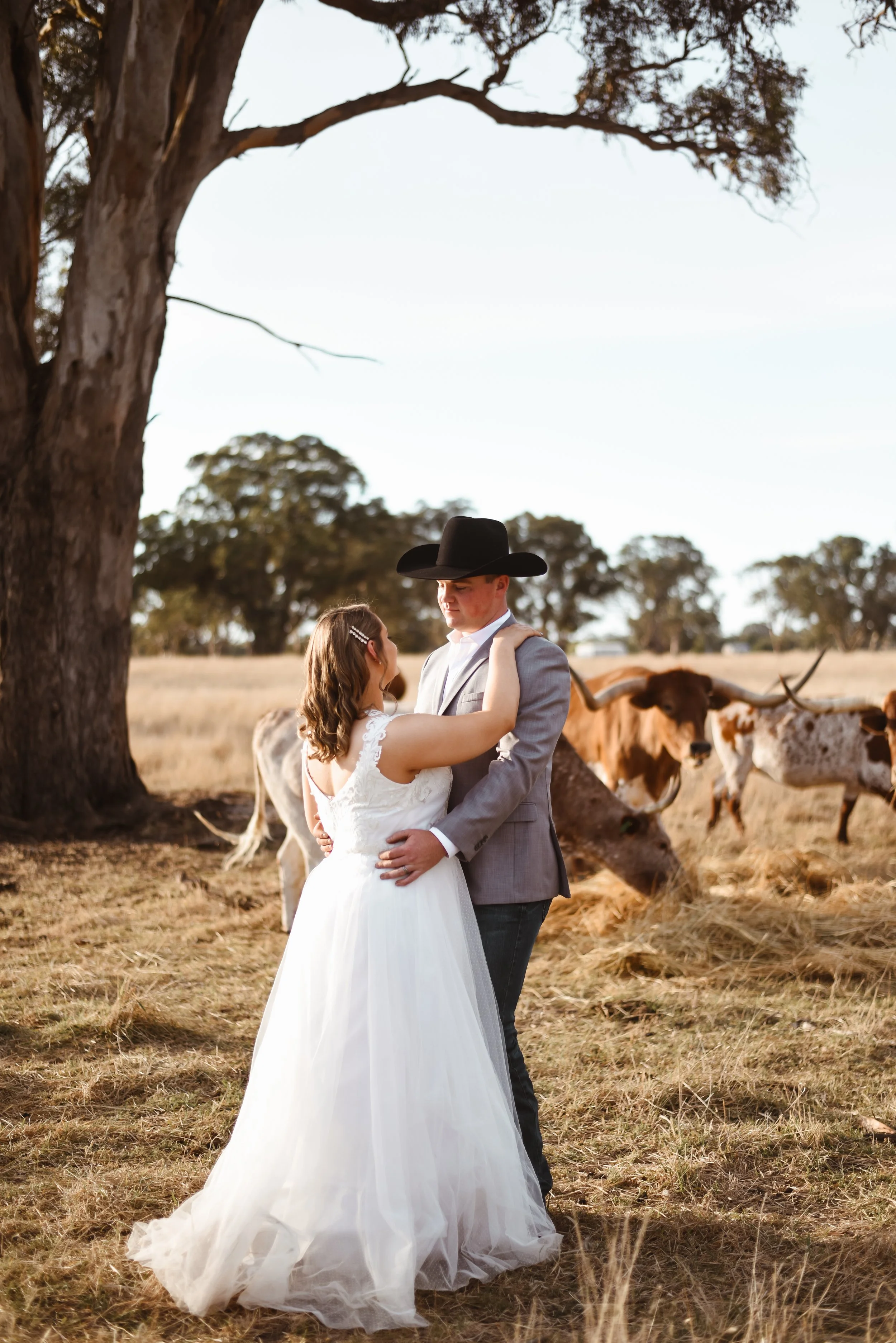 Couple sharing a moment with their farm land cows in the back