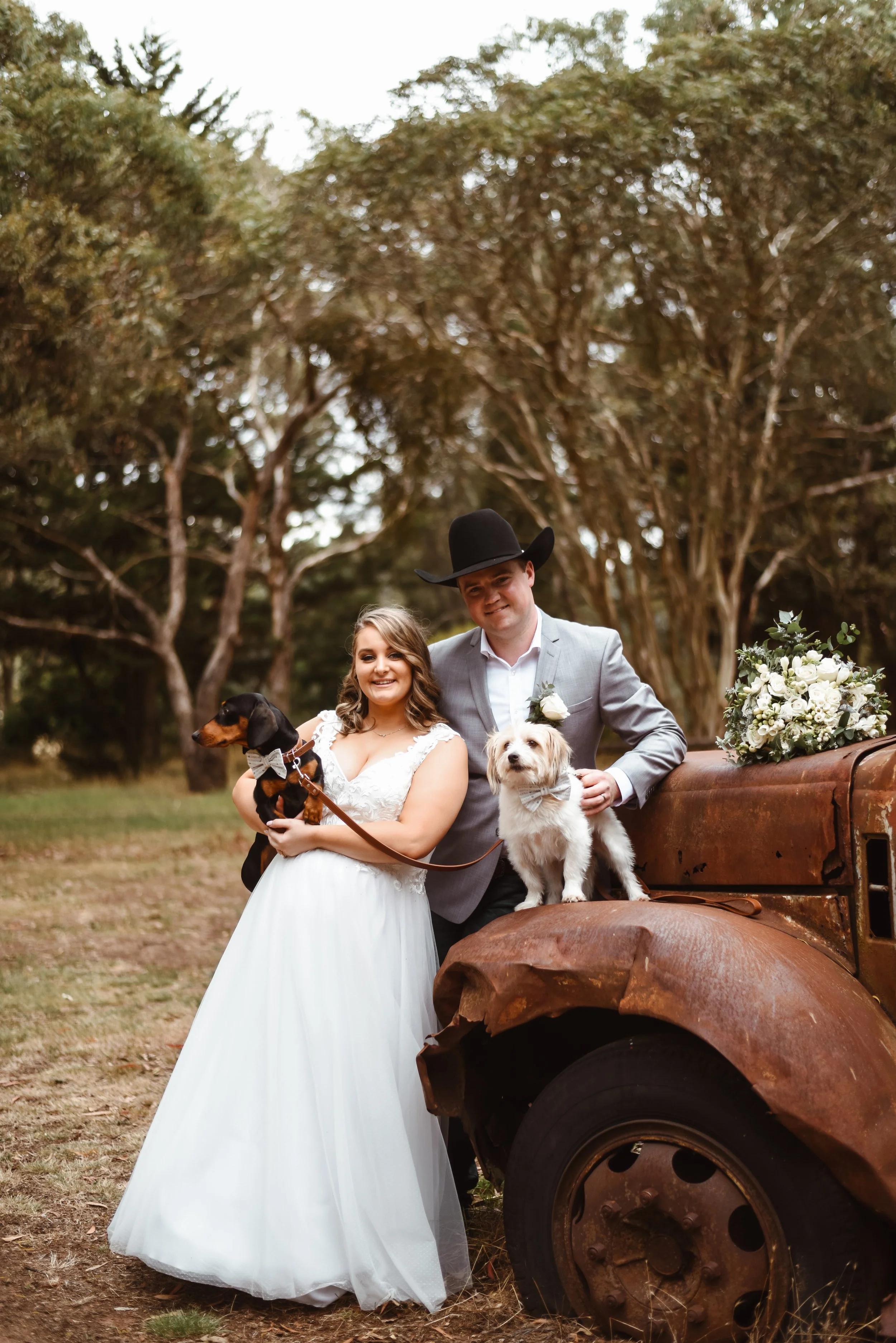 wedding couple with their pet dogs