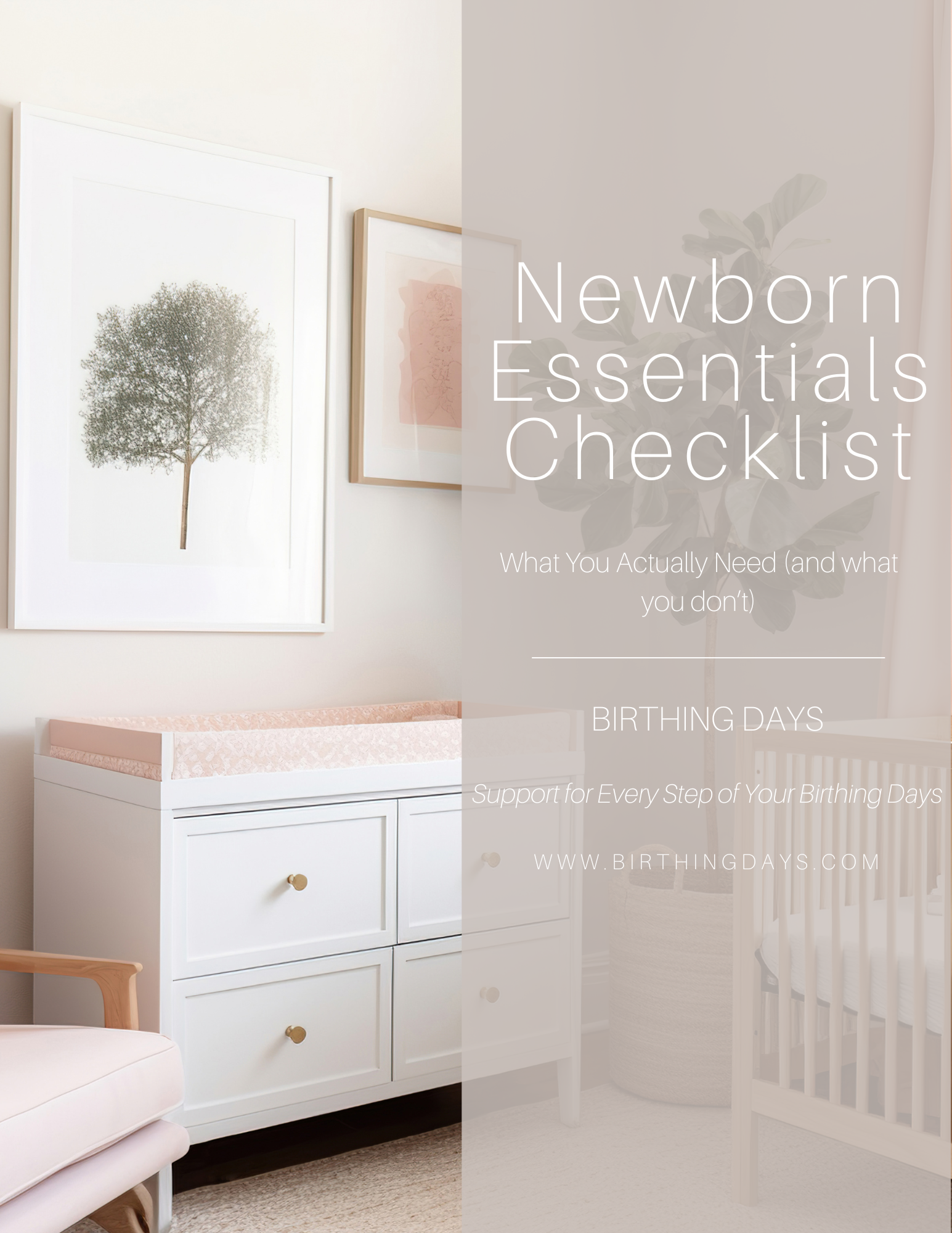 Newborn Essentials Checklist.png