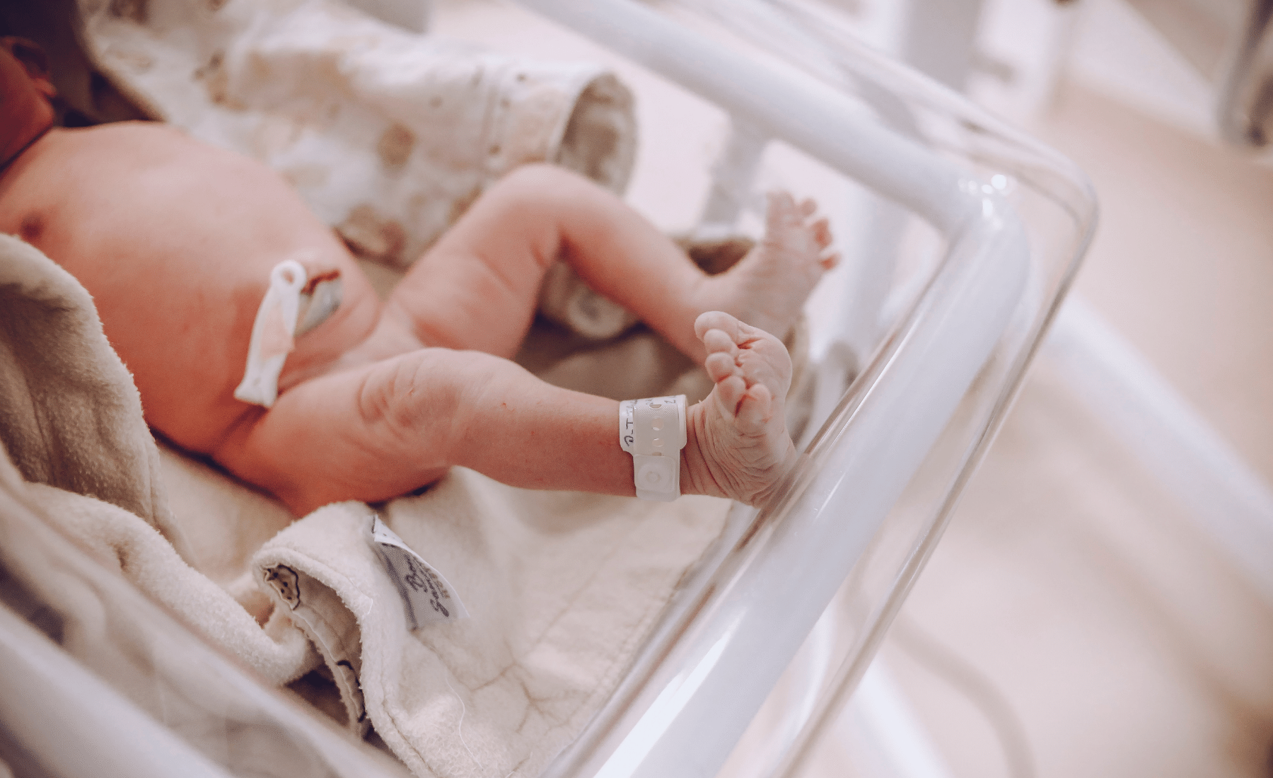 personalized labor support for Portland birthing families