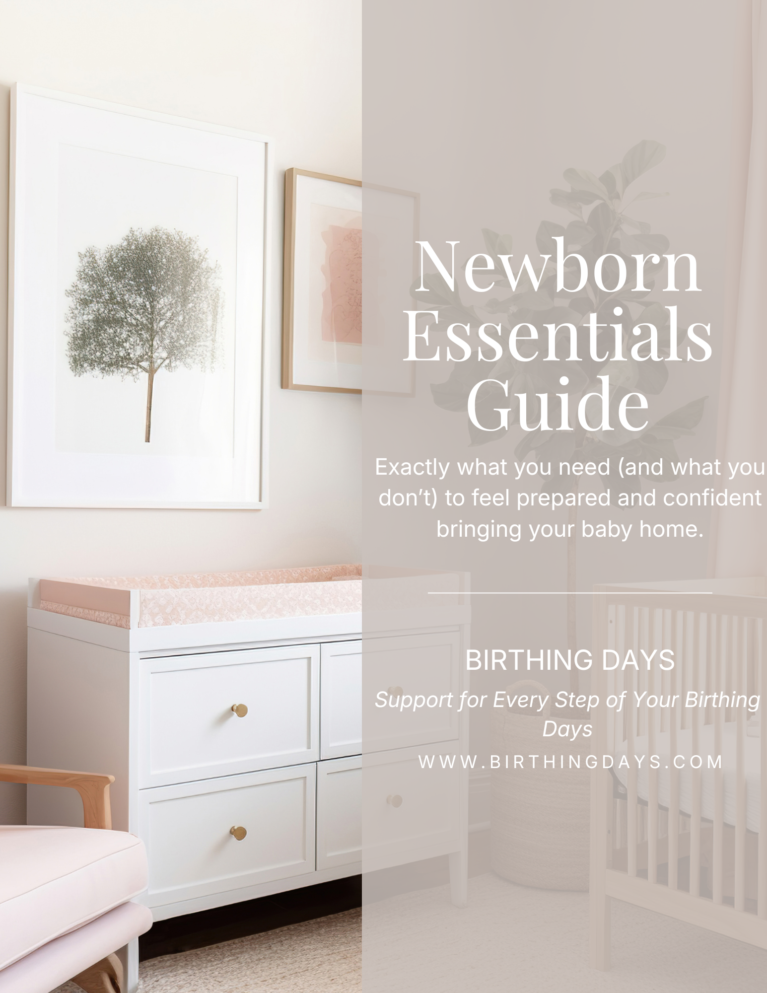 Newborn Essentials Guide