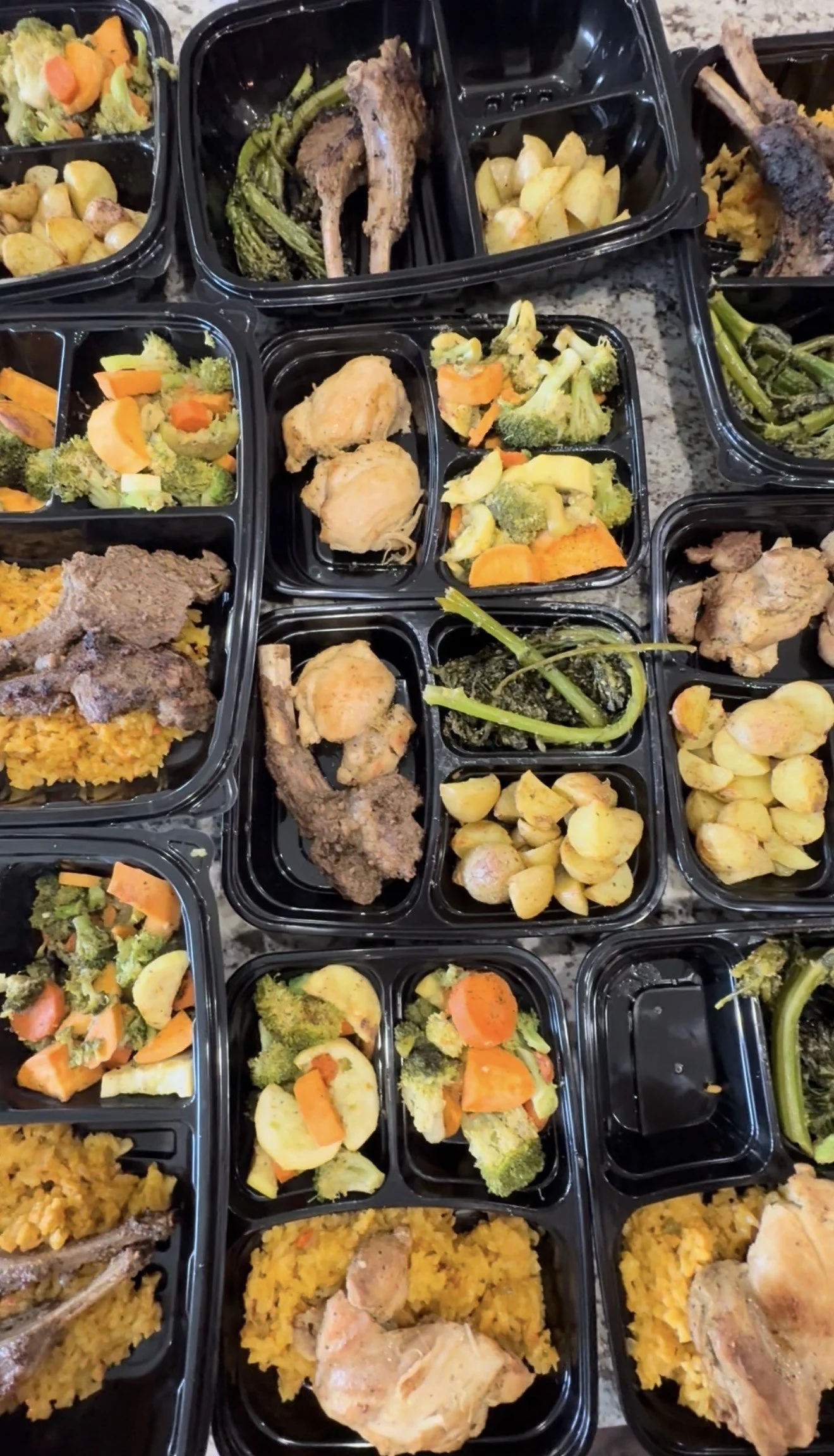 PLATINUM MEAL PREP SERVICE