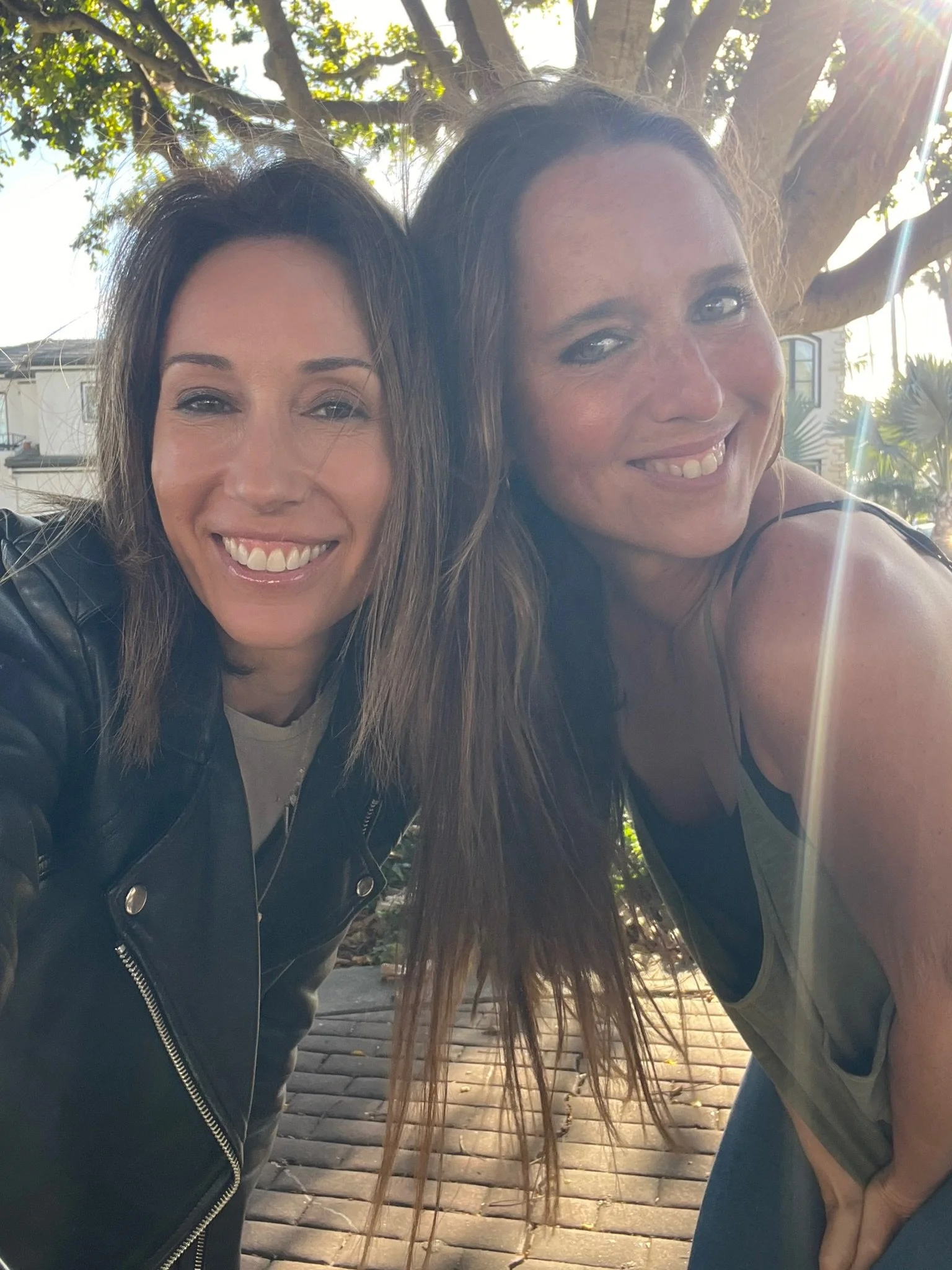 Plot Twist Power Hour Zoom Call