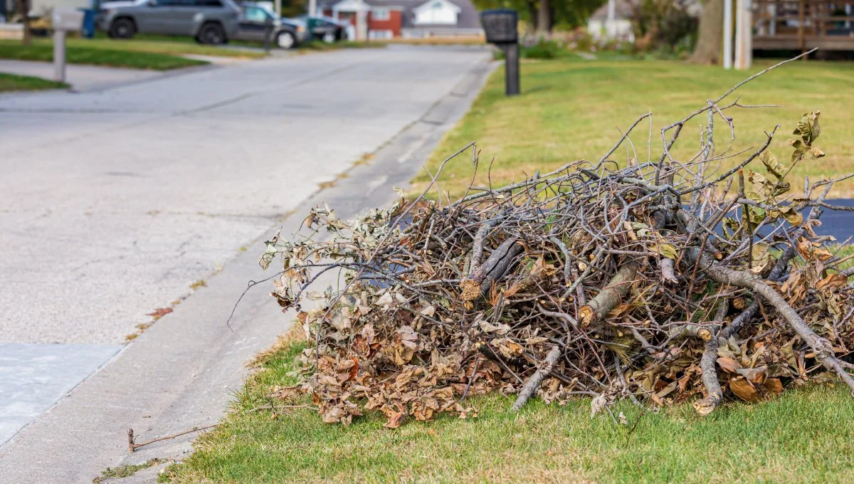 Yard debris removal and hauling service by KBR Rentals and More in Peoria Arizona