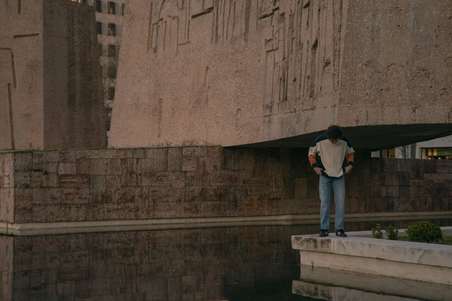 Partes Del Cuello Redondo 3.webp