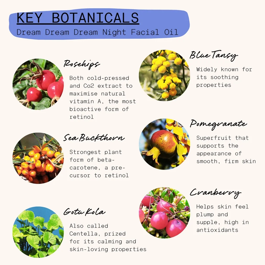 dream dream dream 1.webp