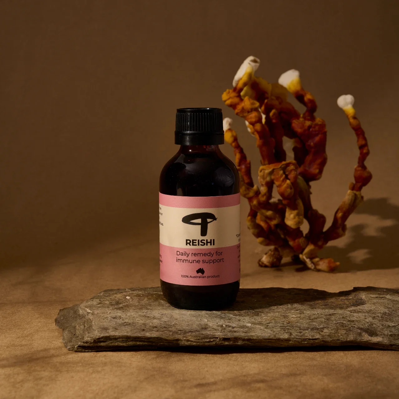 Reishi hero - WebP.webp