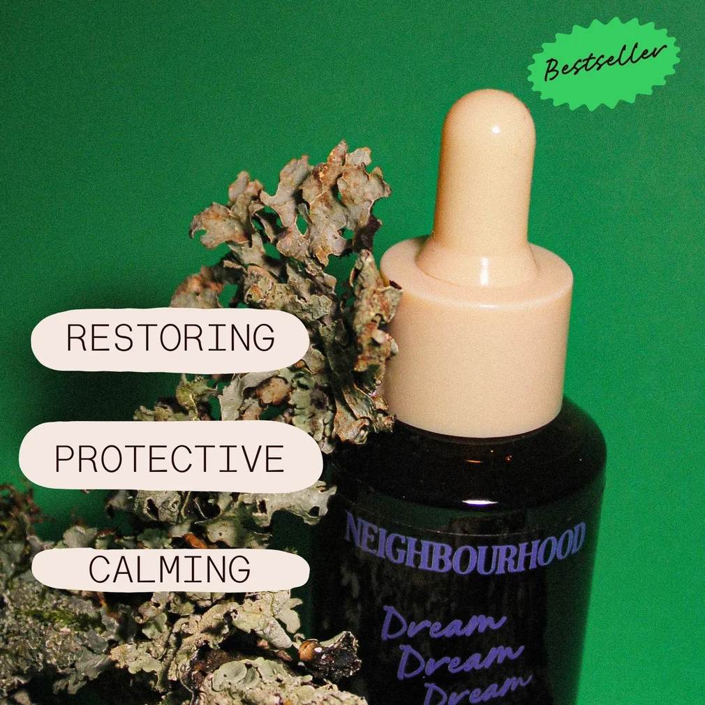 dream dream dream 2.webp