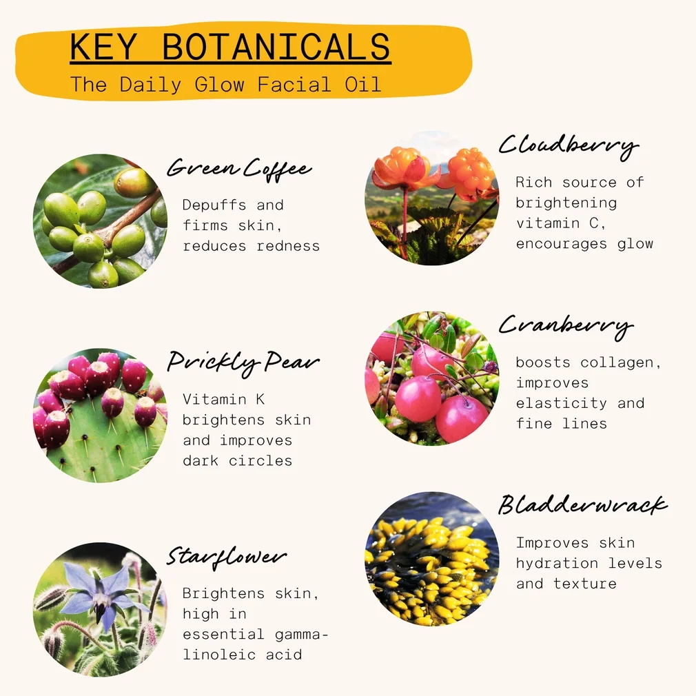 Daily Glow Face Oil 1.webp