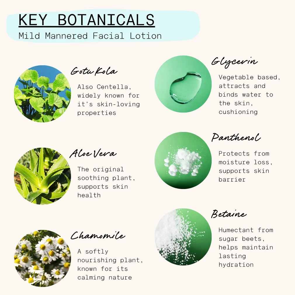 Mild mannered 3.webp