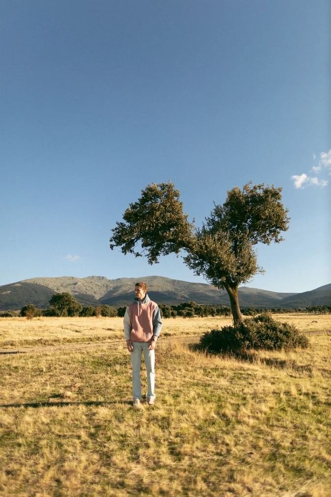 Hoodie Motors & Parts 6.webp