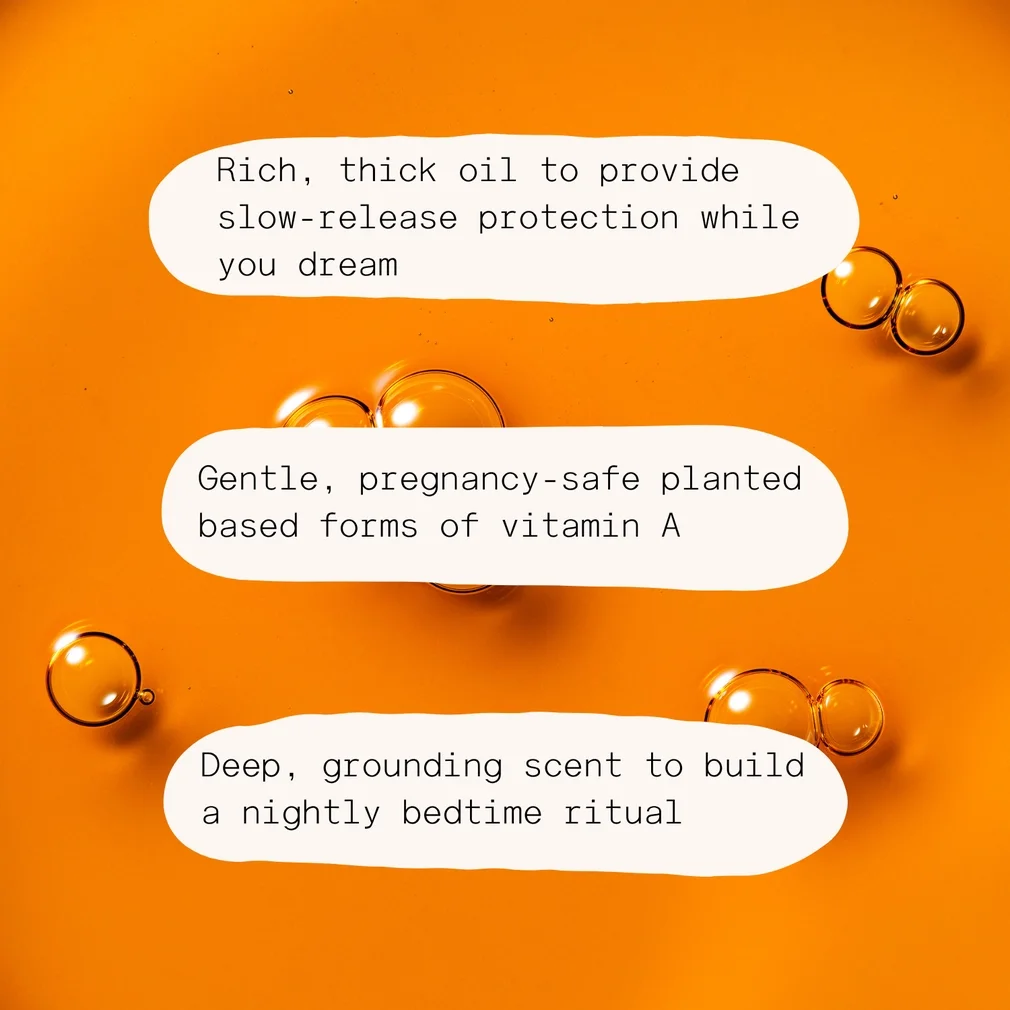 dream dream dream.webp