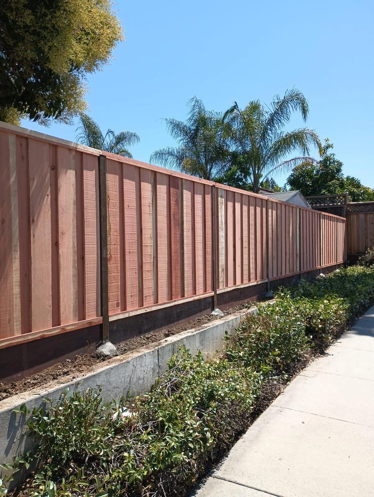 6' Finish GN Board on Board Fence