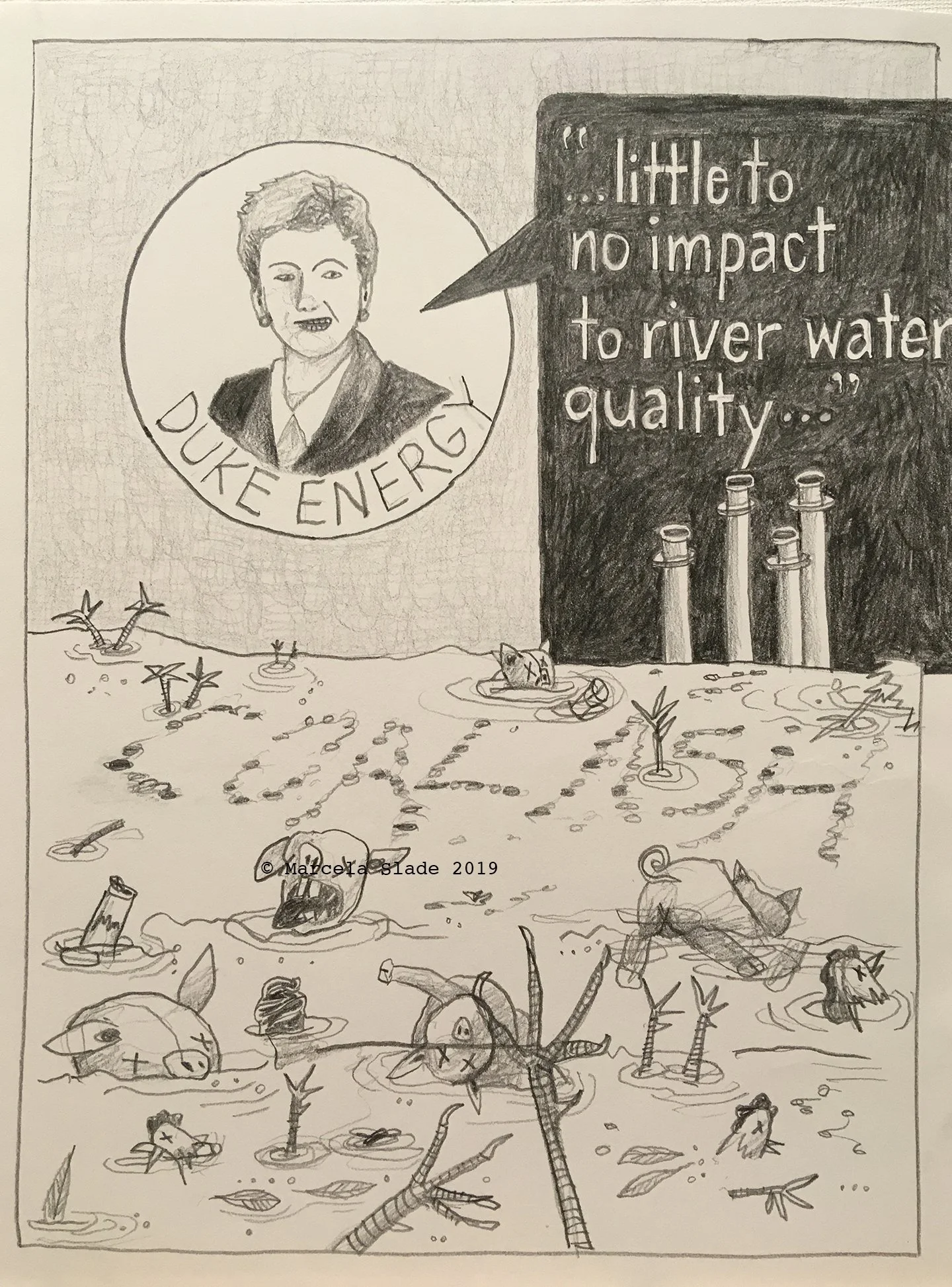 Duke Energy Coal Ash