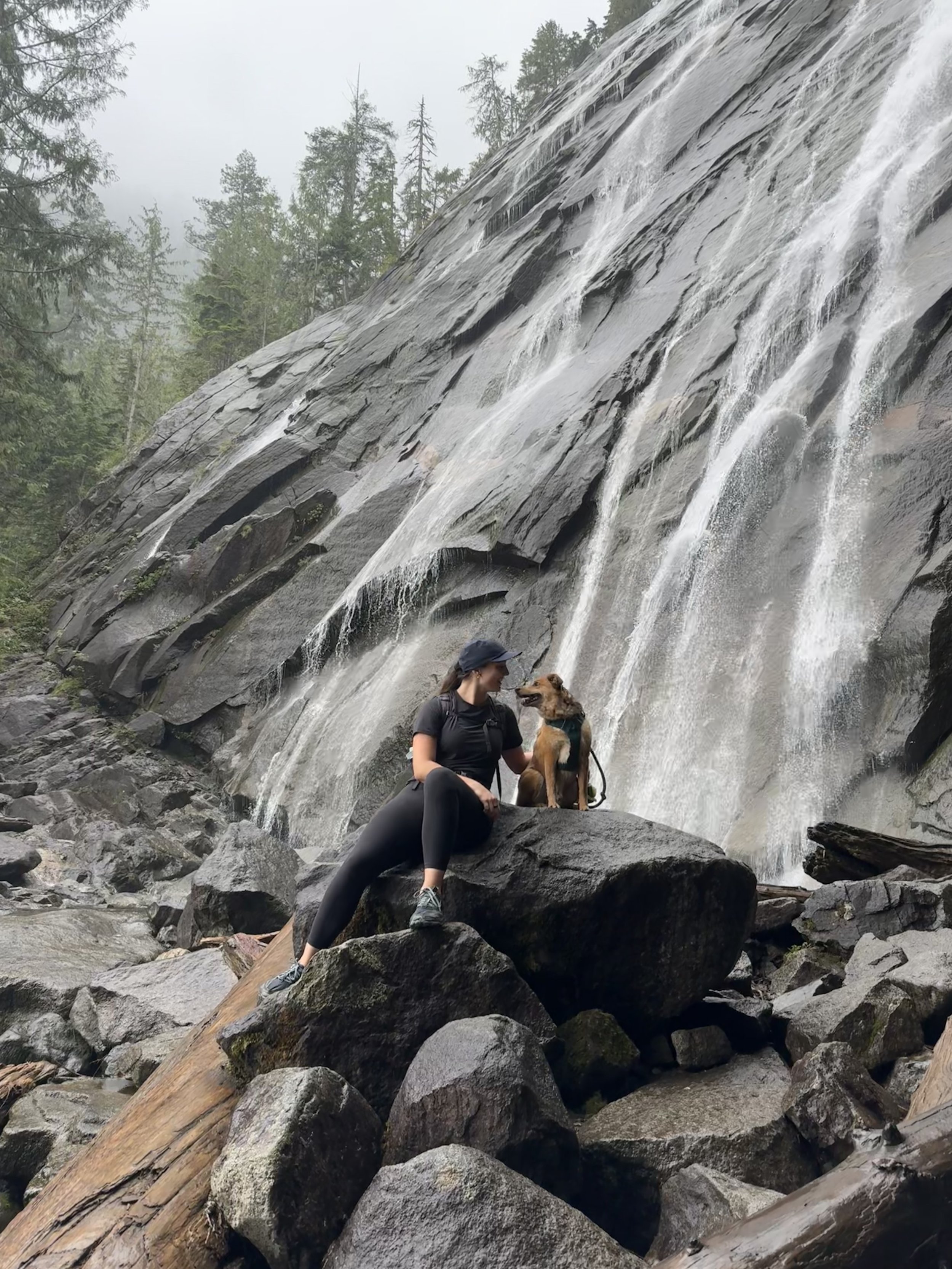 A woman wearing black outdoor clothing and a cap sitting on rocks next to a brown dog at a waterfall in a forested area.