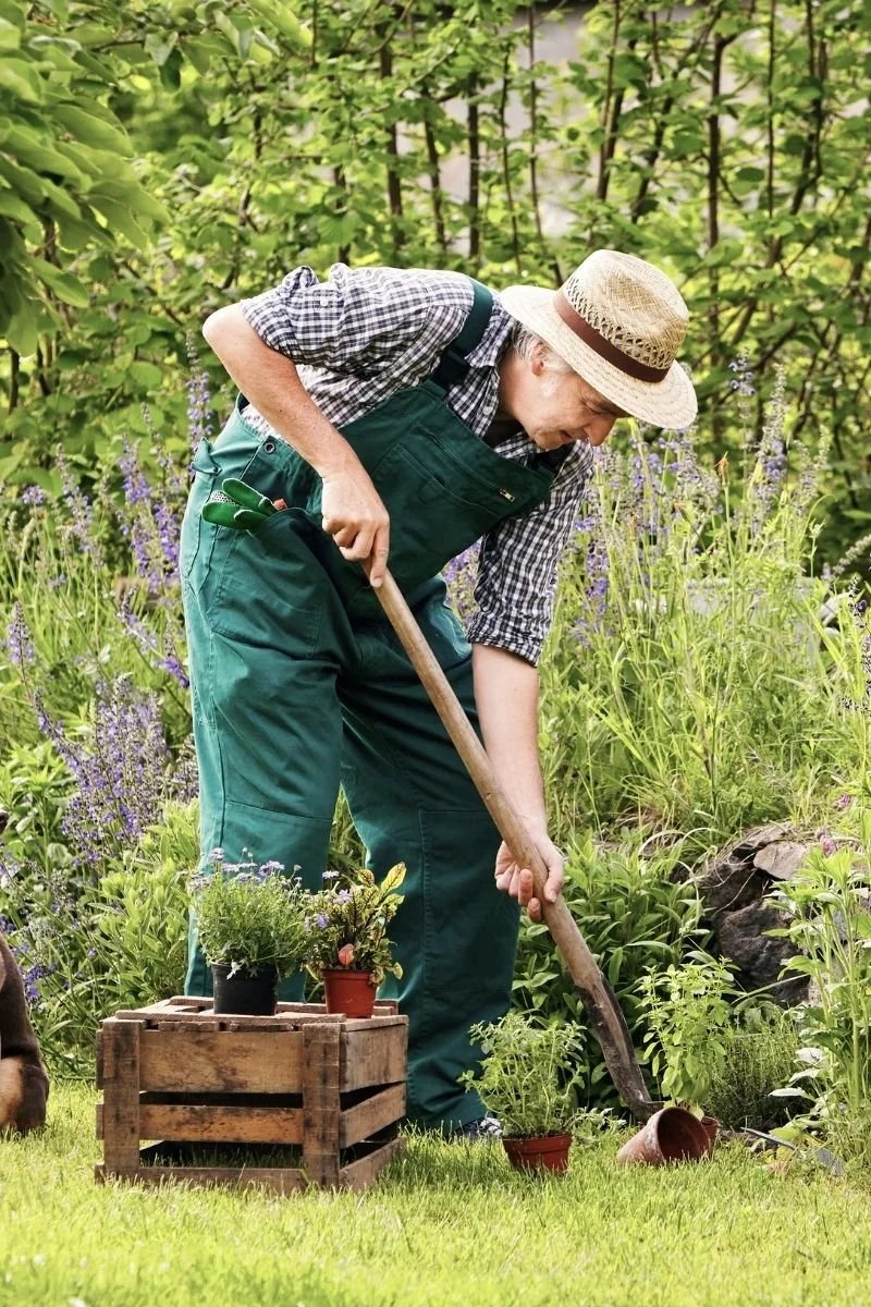 man gardening