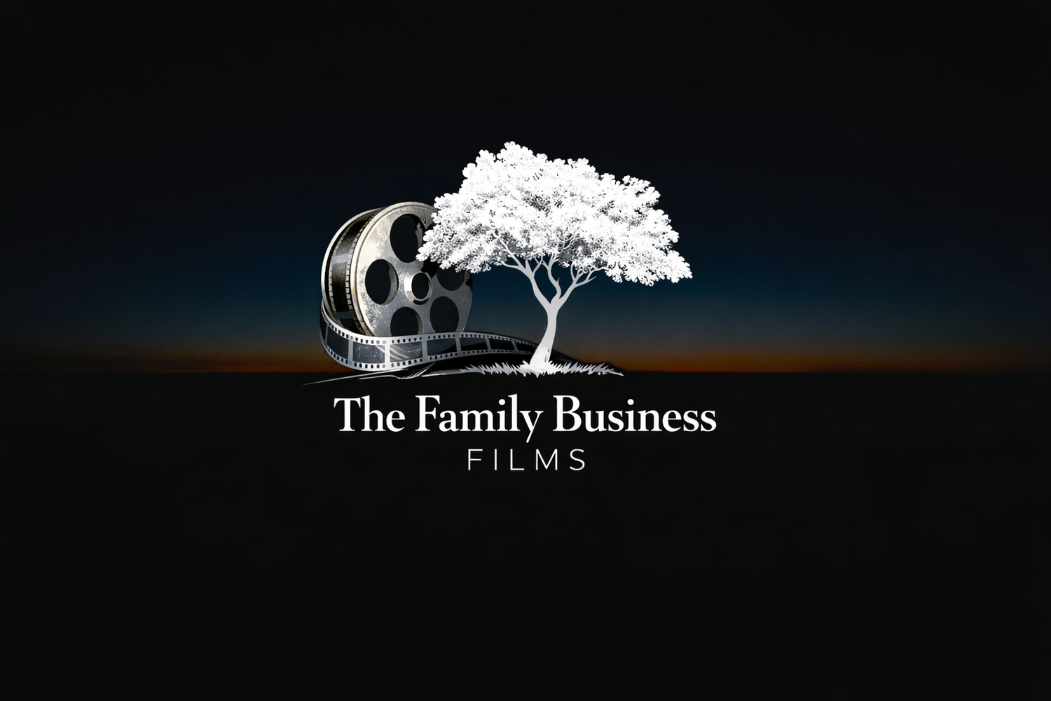 THE FAMILY BUSINESS FILMS
