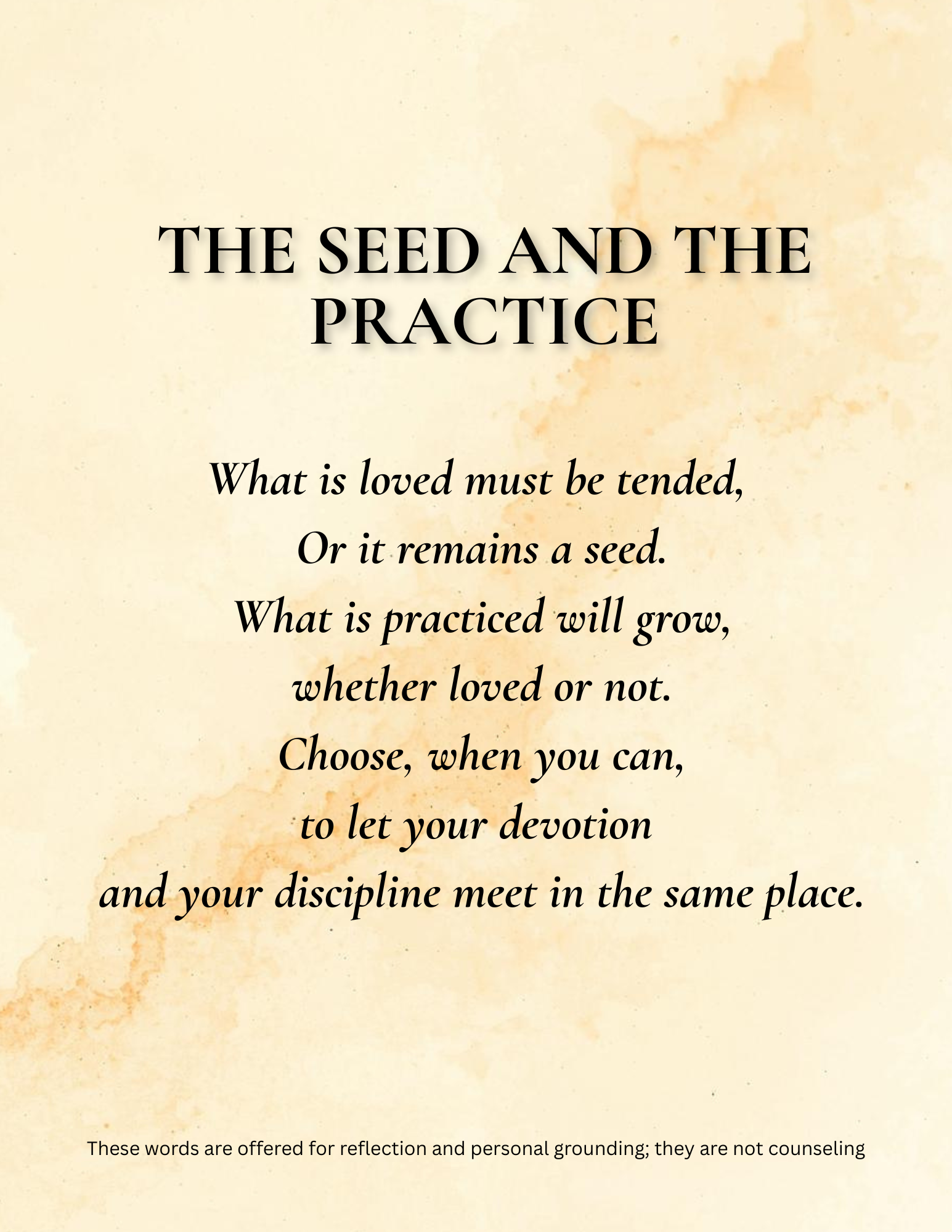 THE SEED AND THE PRACTICE.png