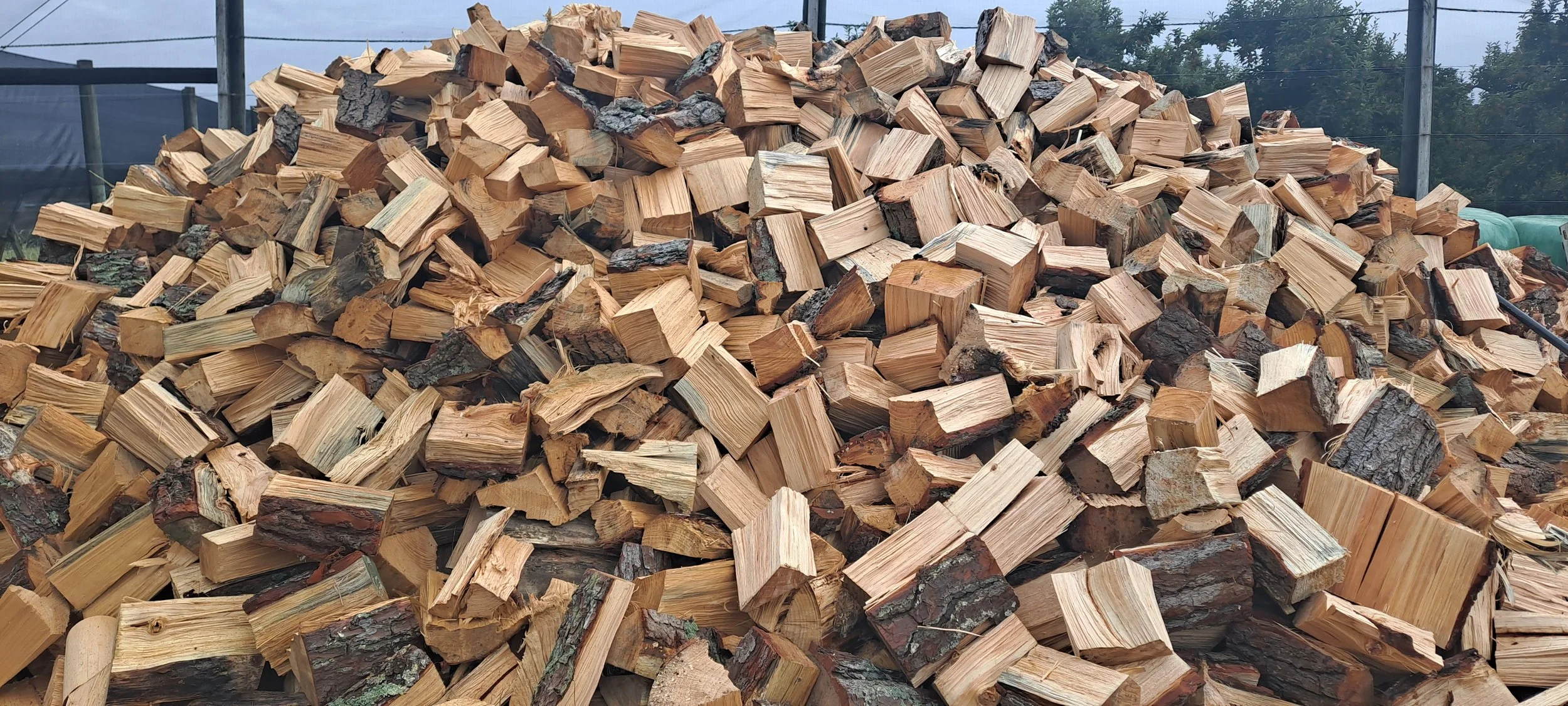 A large pile of split firewood logs, outdoors with trees and a cloudy sky in the background.