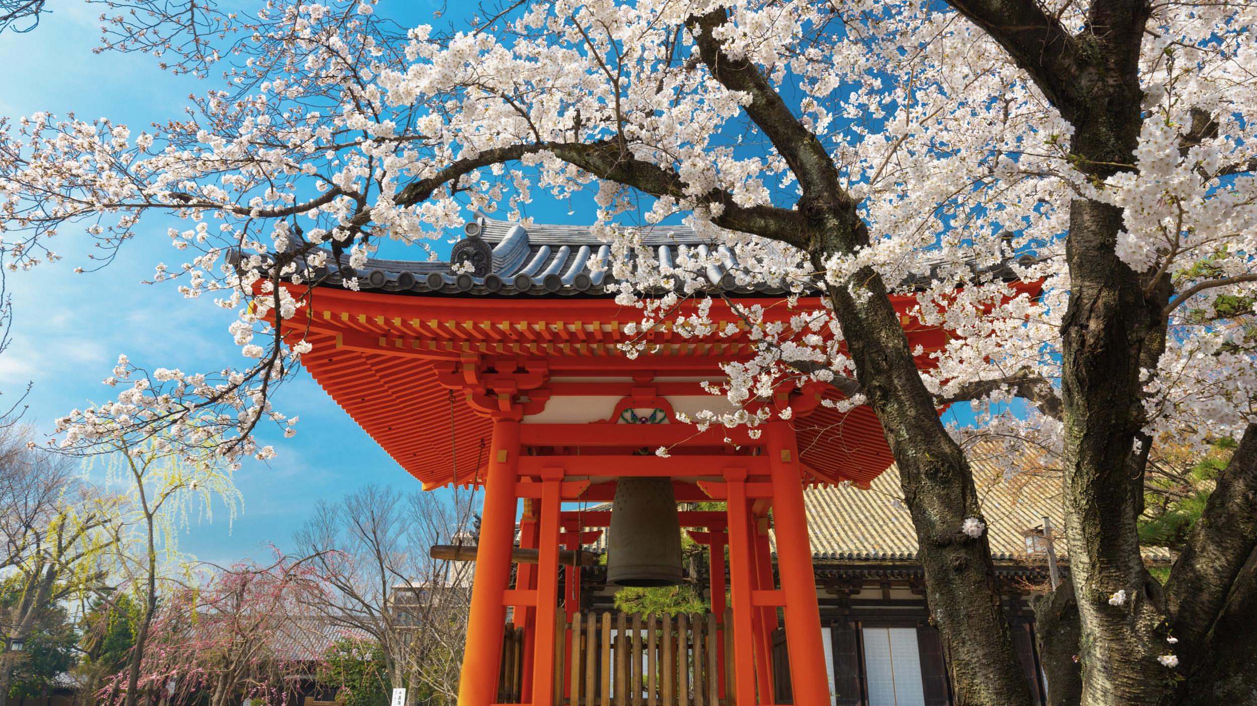 Asia
