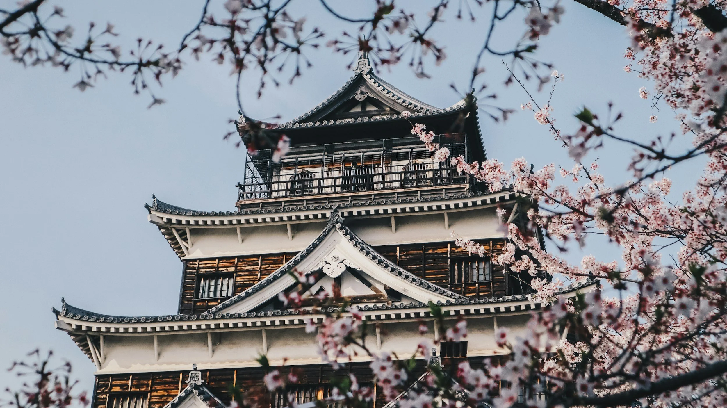 Vista de un castillo japonés rodeado de ramas con flores rosadas en floración.