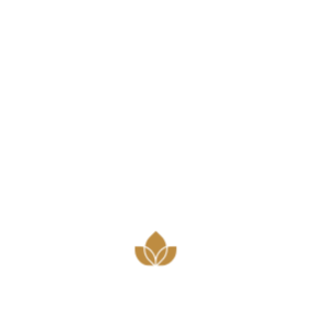 Logo con letras 'SV' grandes y la palabra 'Atelier' debajo, con un ícono de corazón marrón en la parte inferior.